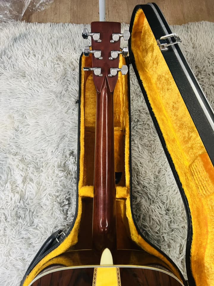 Đàn Guitar Acoustic Morris W50
