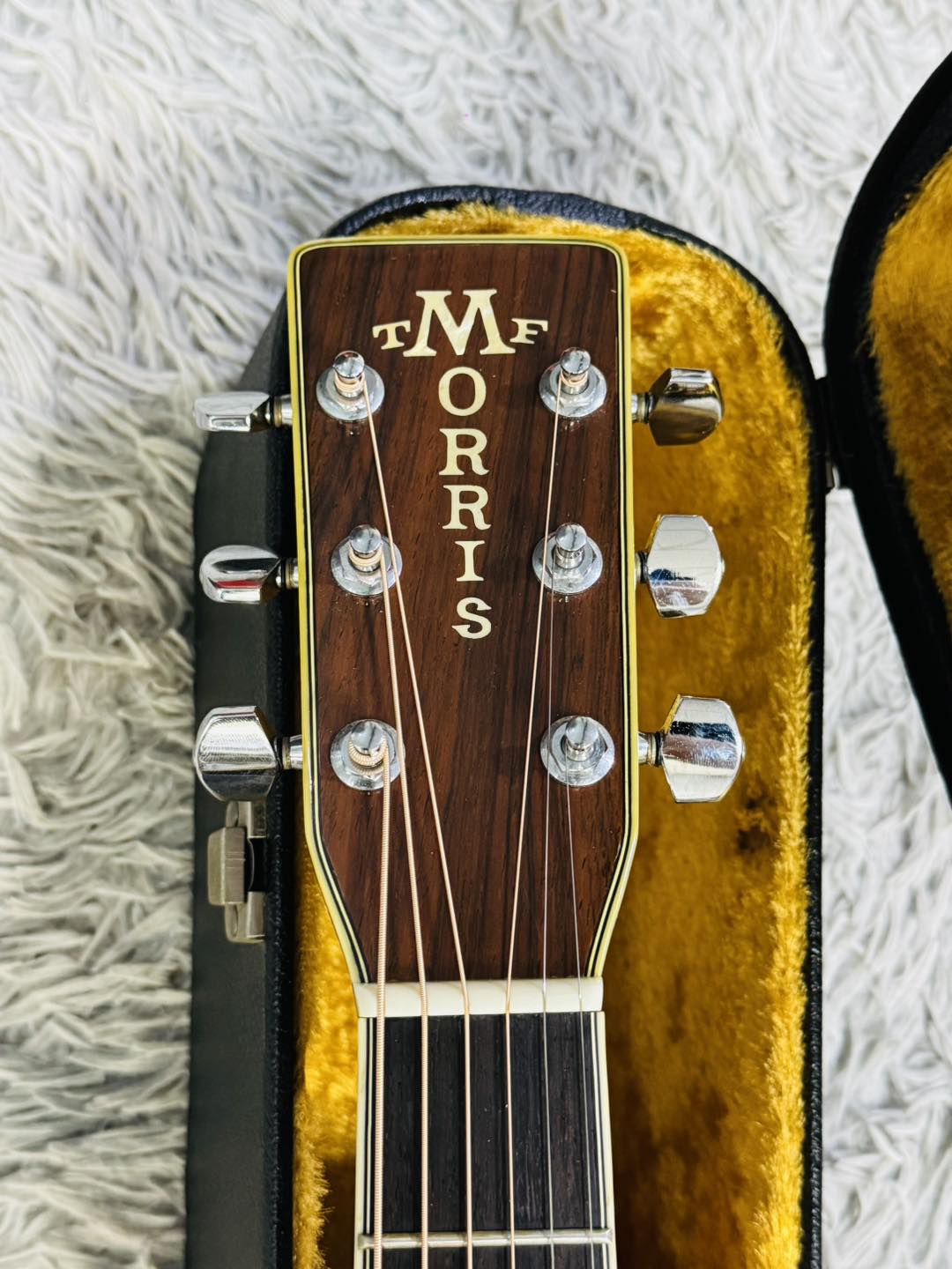 Đàn Guitar Acoustic Morris W60
