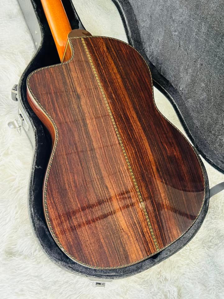 Đàn Guitar Classic Takamine DMP316