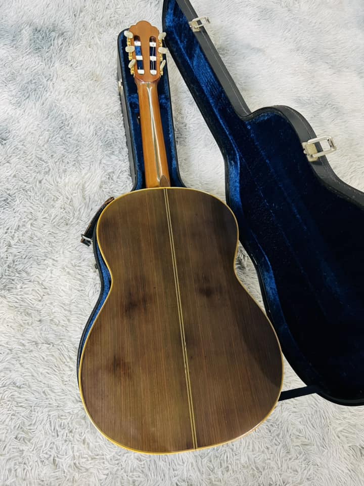 Đàn Guitar Classic Wataru Tsuji S3