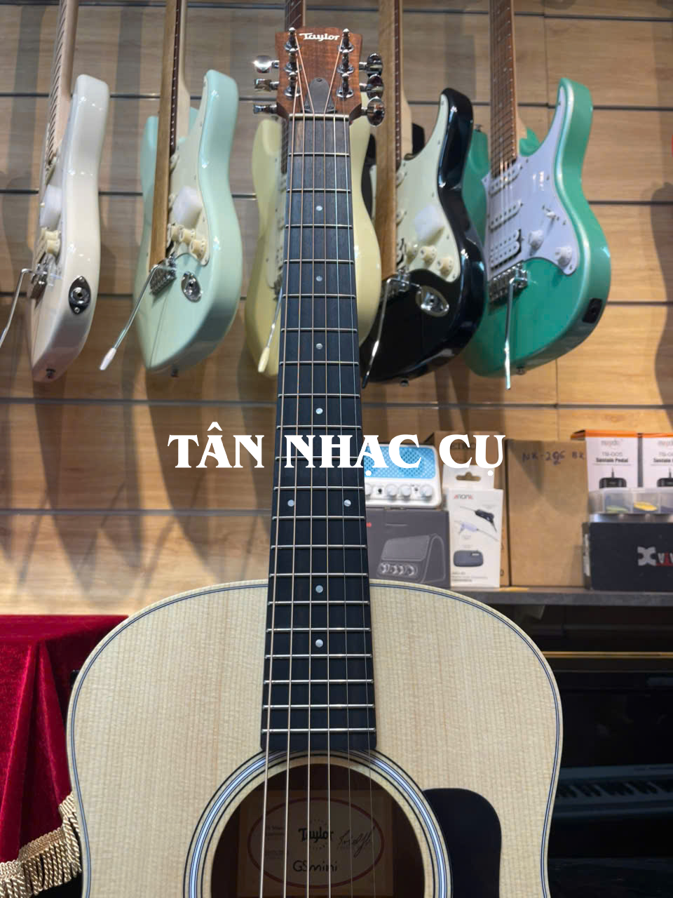 Taylor GS Mini E Rosewood