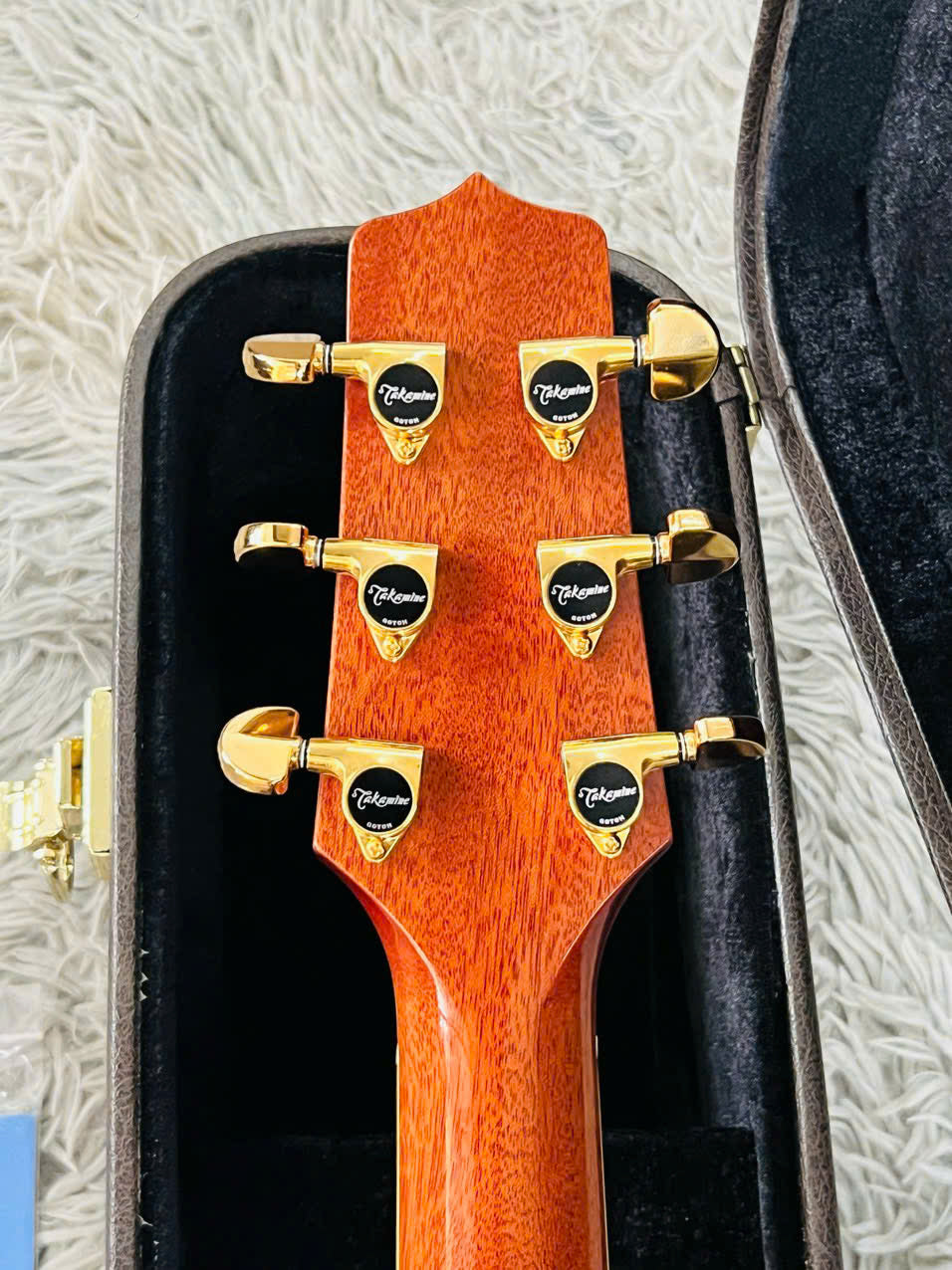 Đàn Guitar Acoustic Takamine TDP531KC N