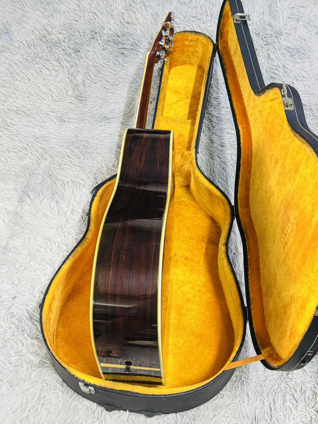 Đàn Guitar Acoustic Morris W40 1978