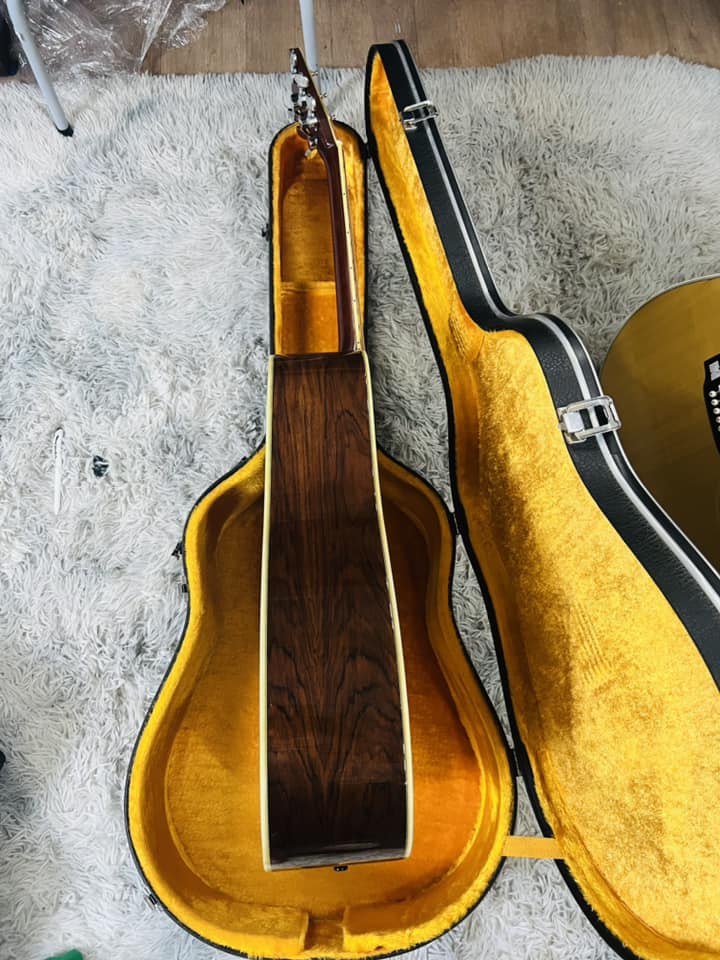 Đàn Guitar Acoustic Morris W50