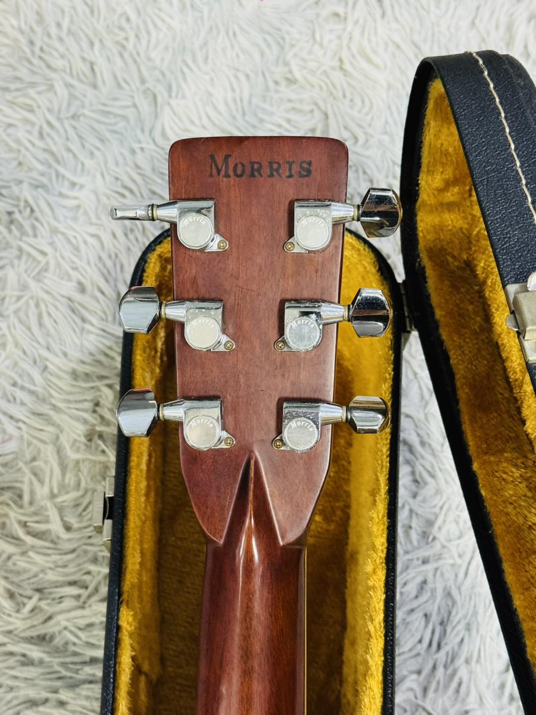 Đàn Guitar Acoustic Morris W60