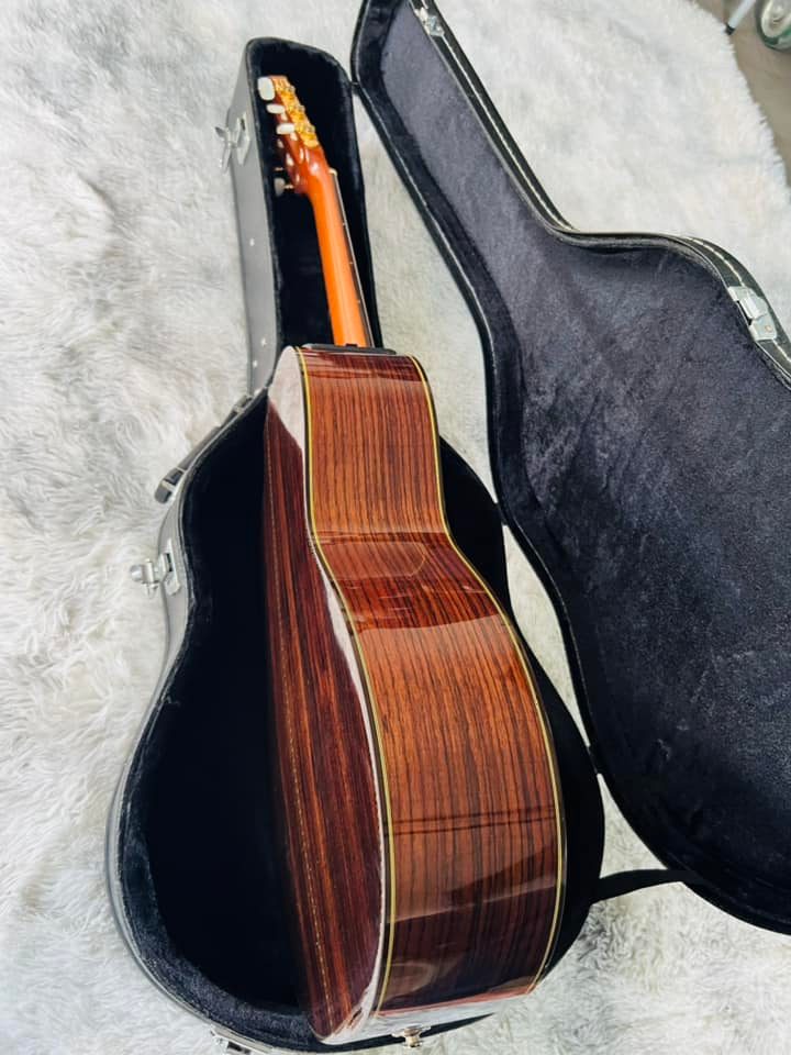 Đàn Guitar Classic Takamine DMP316
