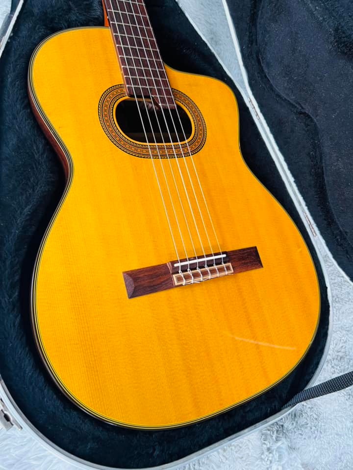Đàn Guitar Classic Takamine E30