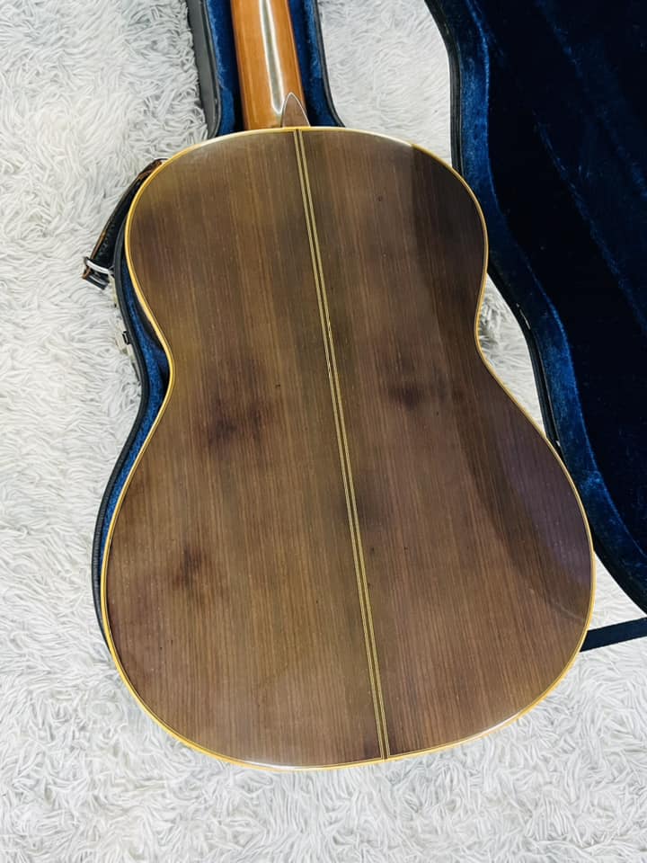 Đàn Guitar Classic Wataru Tsuji S3