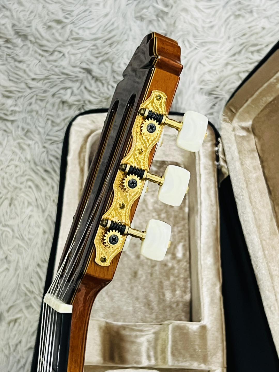 Đàn Guitar Classic Yamaha GCX31C