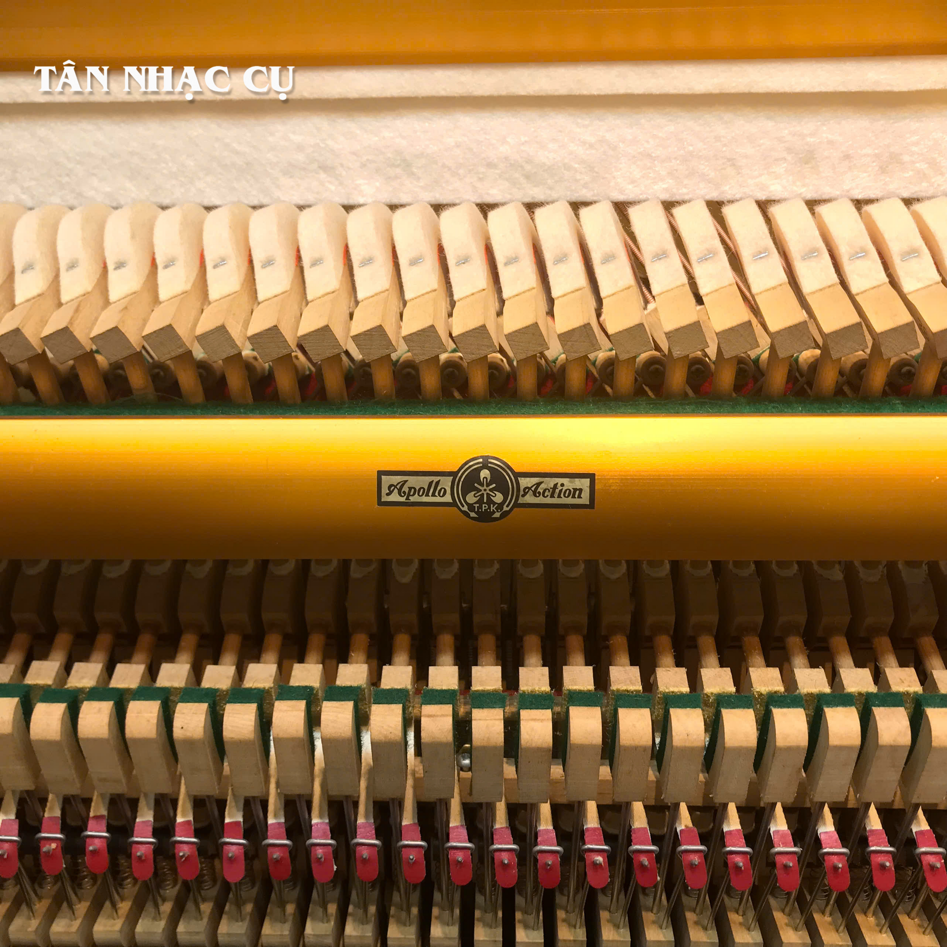 Đàn Piano Cơ Upright Apollo RU8