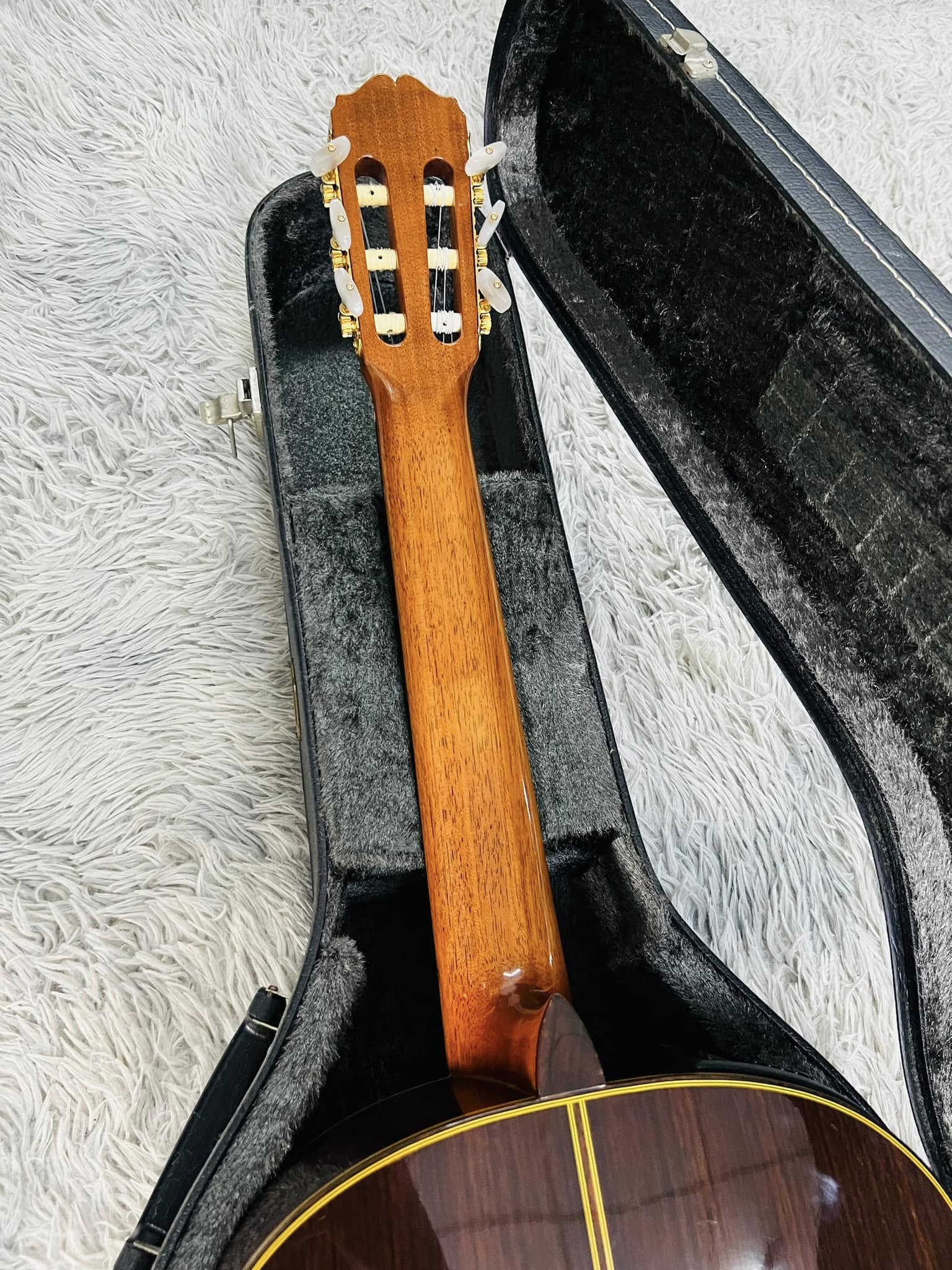 Đàn Guitar Classic Takamine PT310