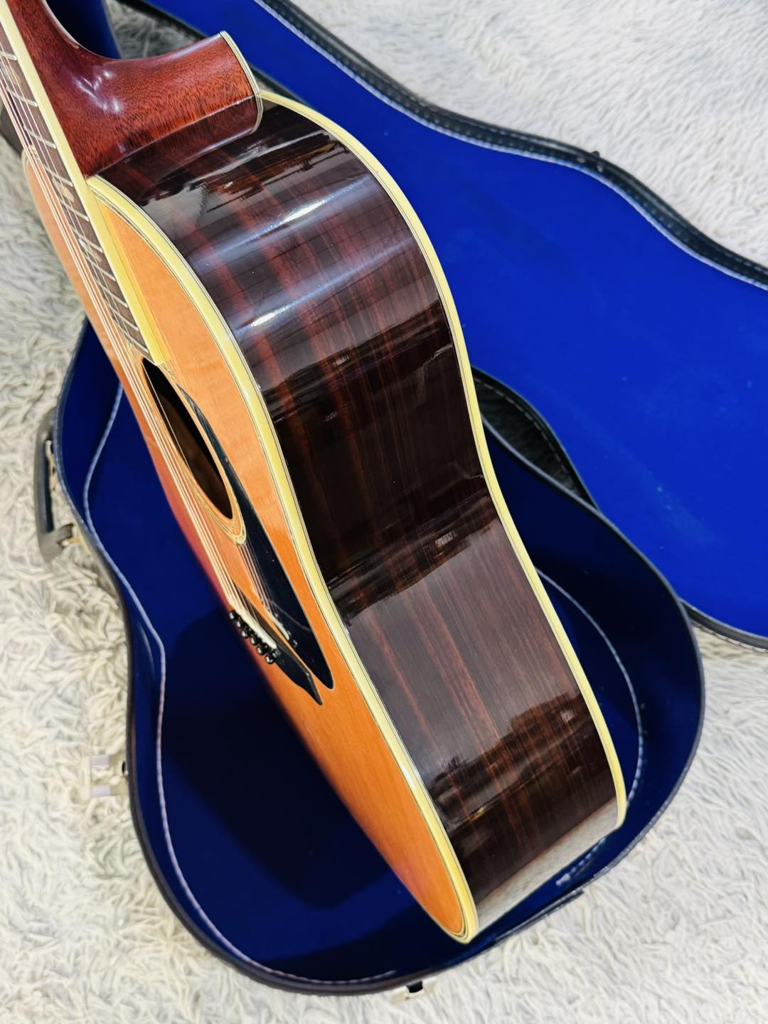 Đàn Guitar Acoustic Morris TF810