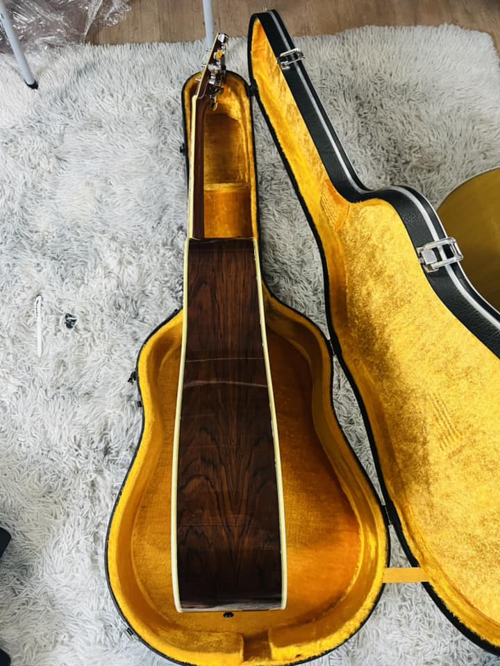 Đàn Guitar Acoustic Morris W50