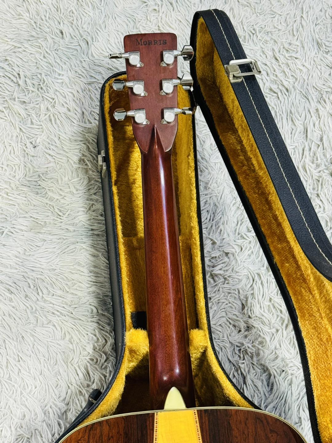 Đàn Guitar Acoustic Morris W60