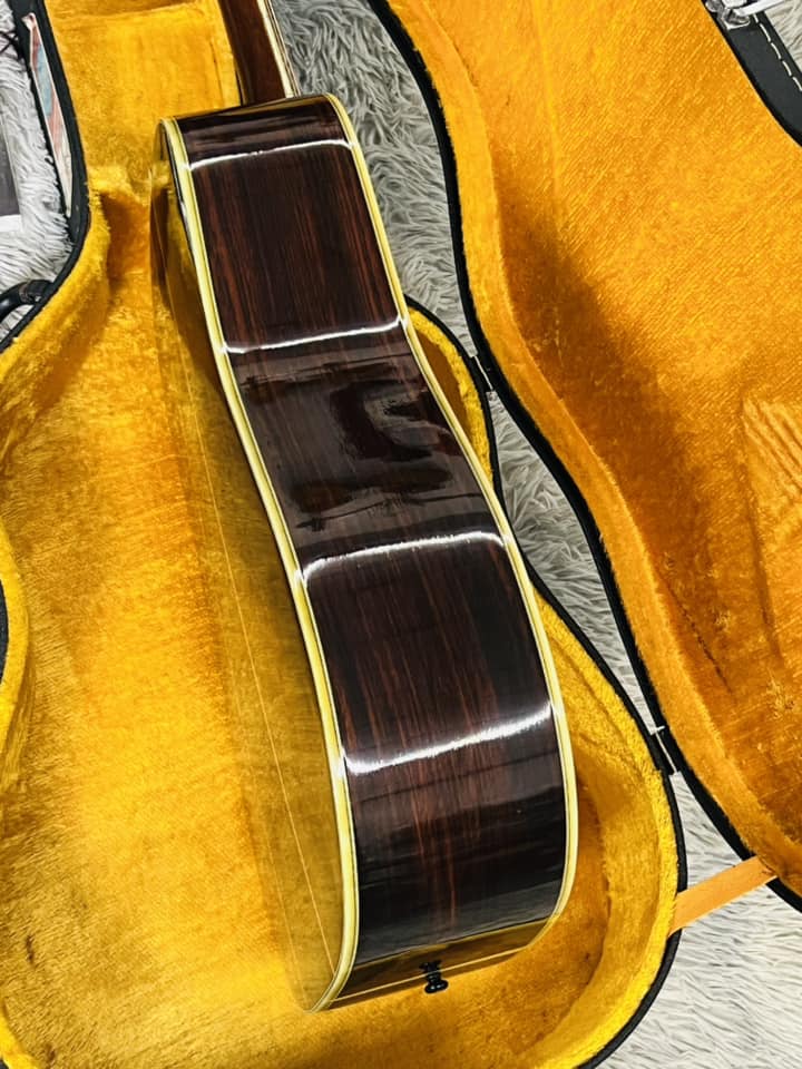 Đàn Guitar Acoustic Morris W80