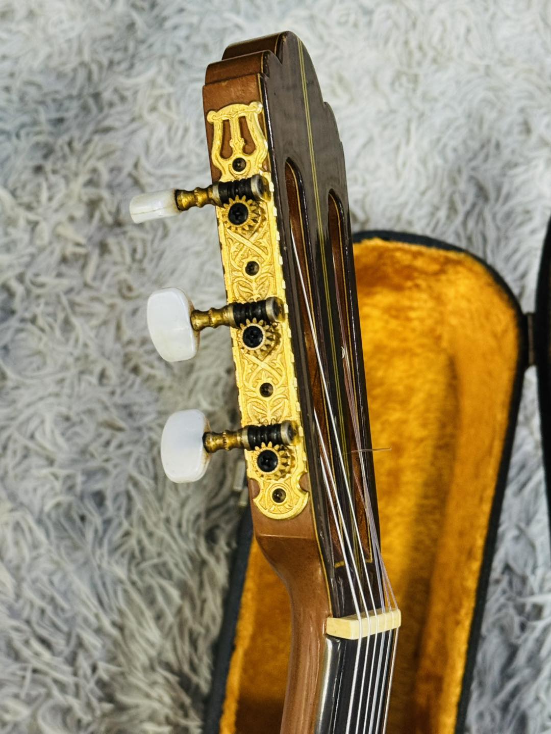 Đàn Guitar Classic Matsuoka MH100