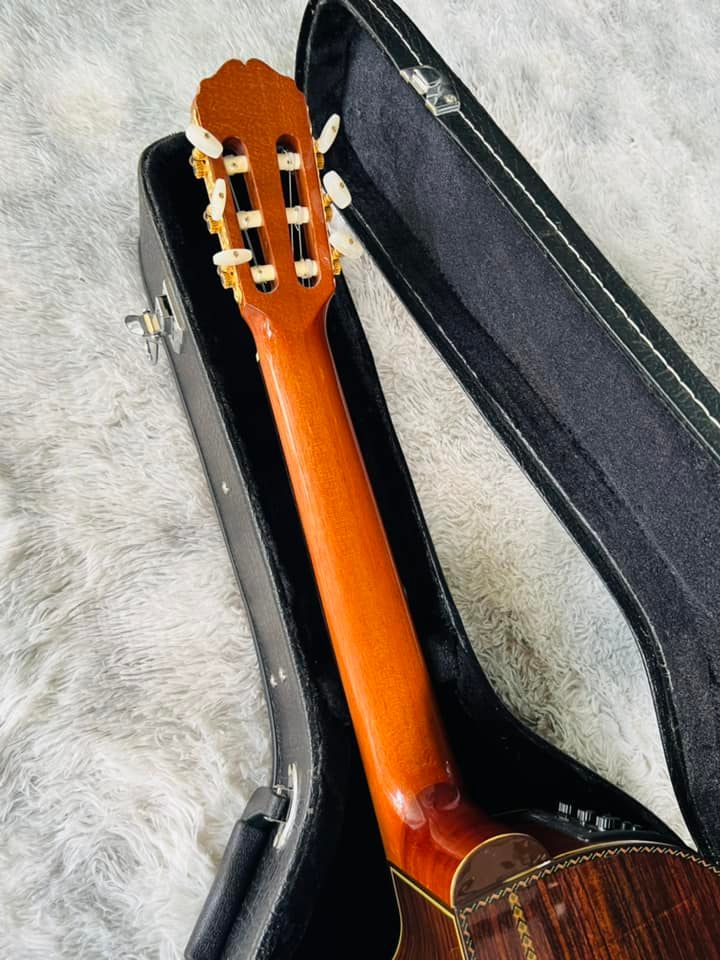 Đàn Guitar Classic Takamine DMP316