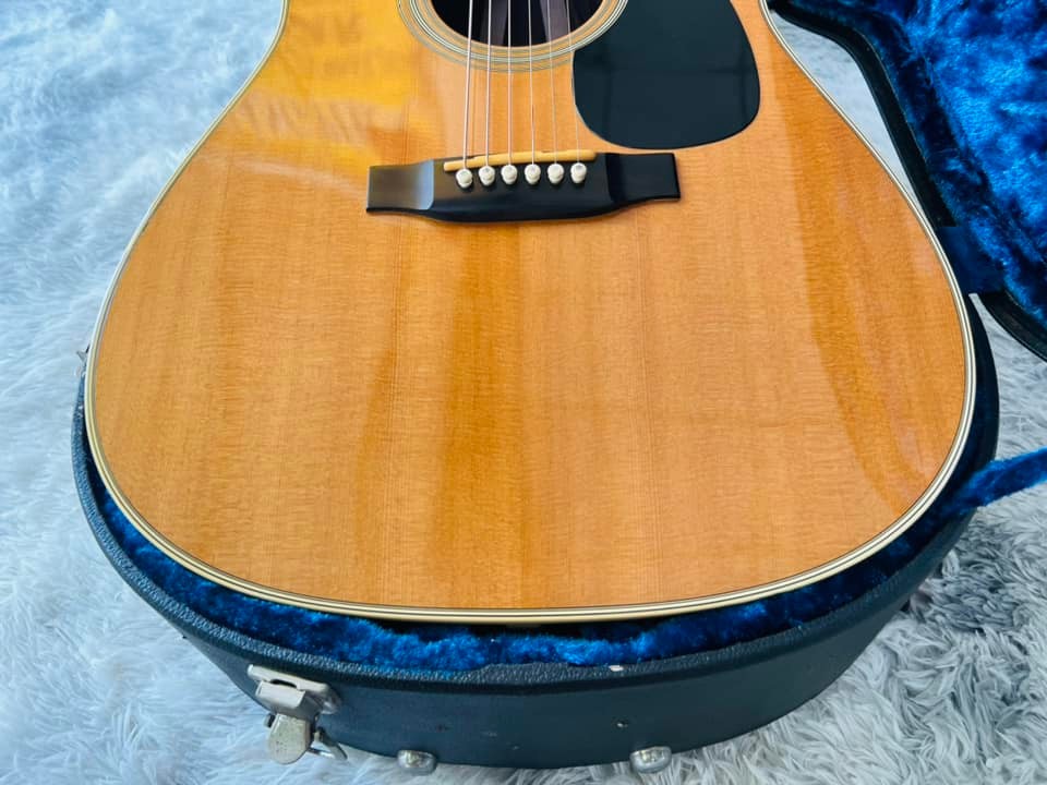 Đàn Guitar Martin Standard Series D35 Acoustic w/Case
