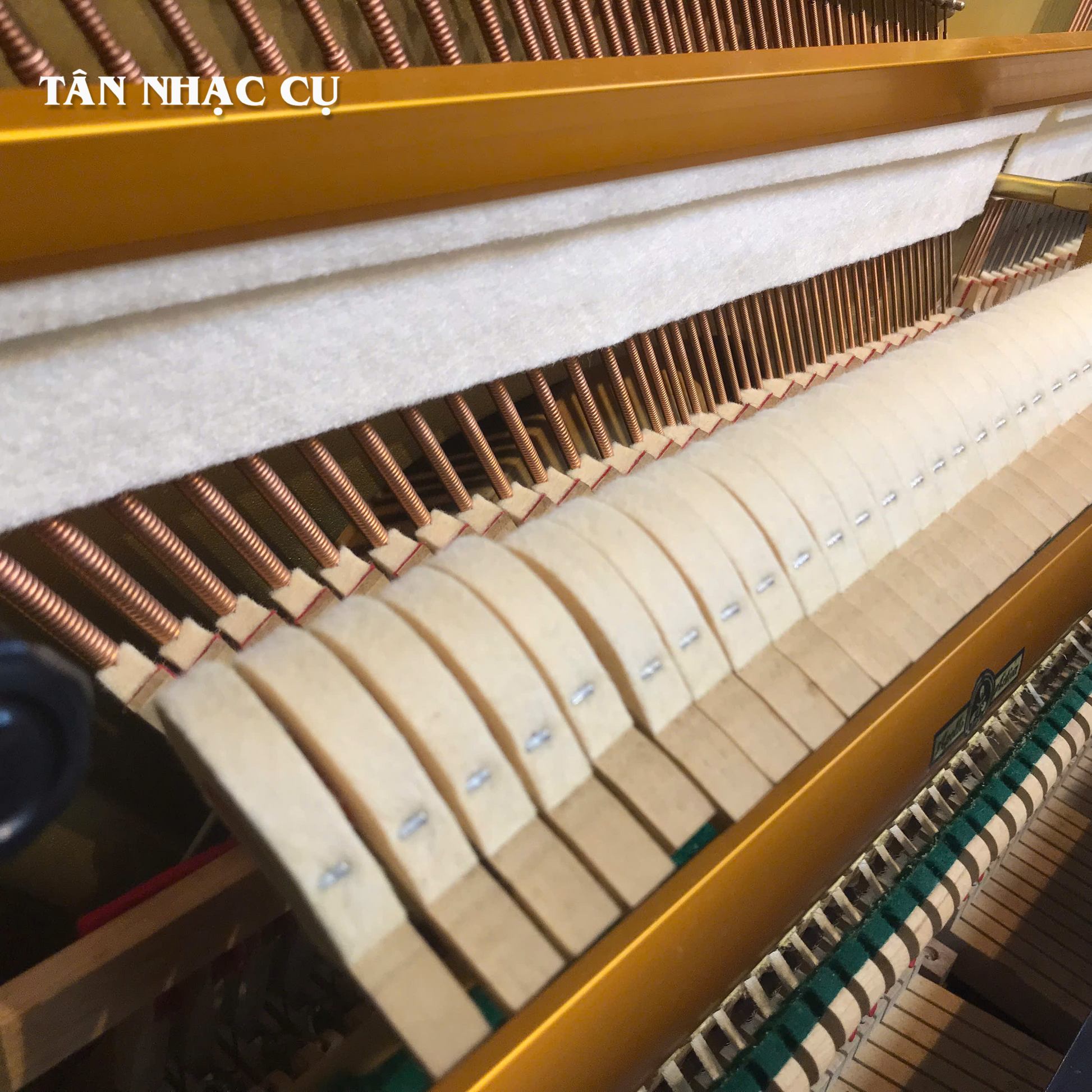 Đàn Piano Cơ Upright Apollo RU8