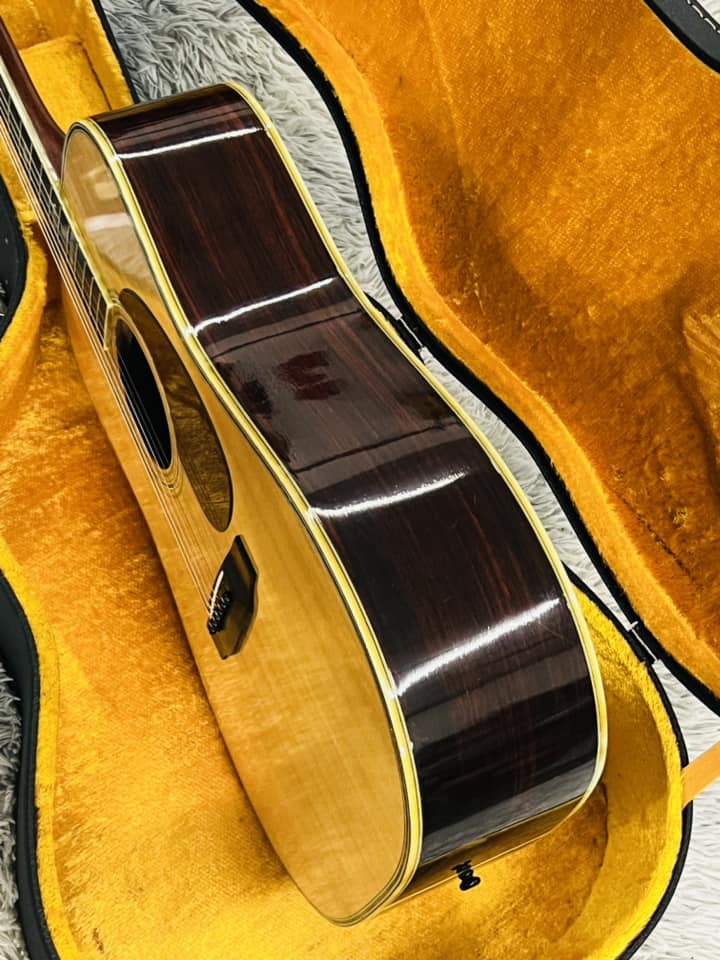 Đàn Guitar Acoustic Morris W80