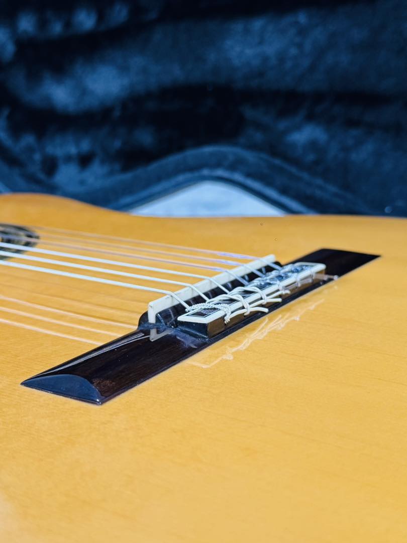 Đàn Guitar Classic Aria A60CWE