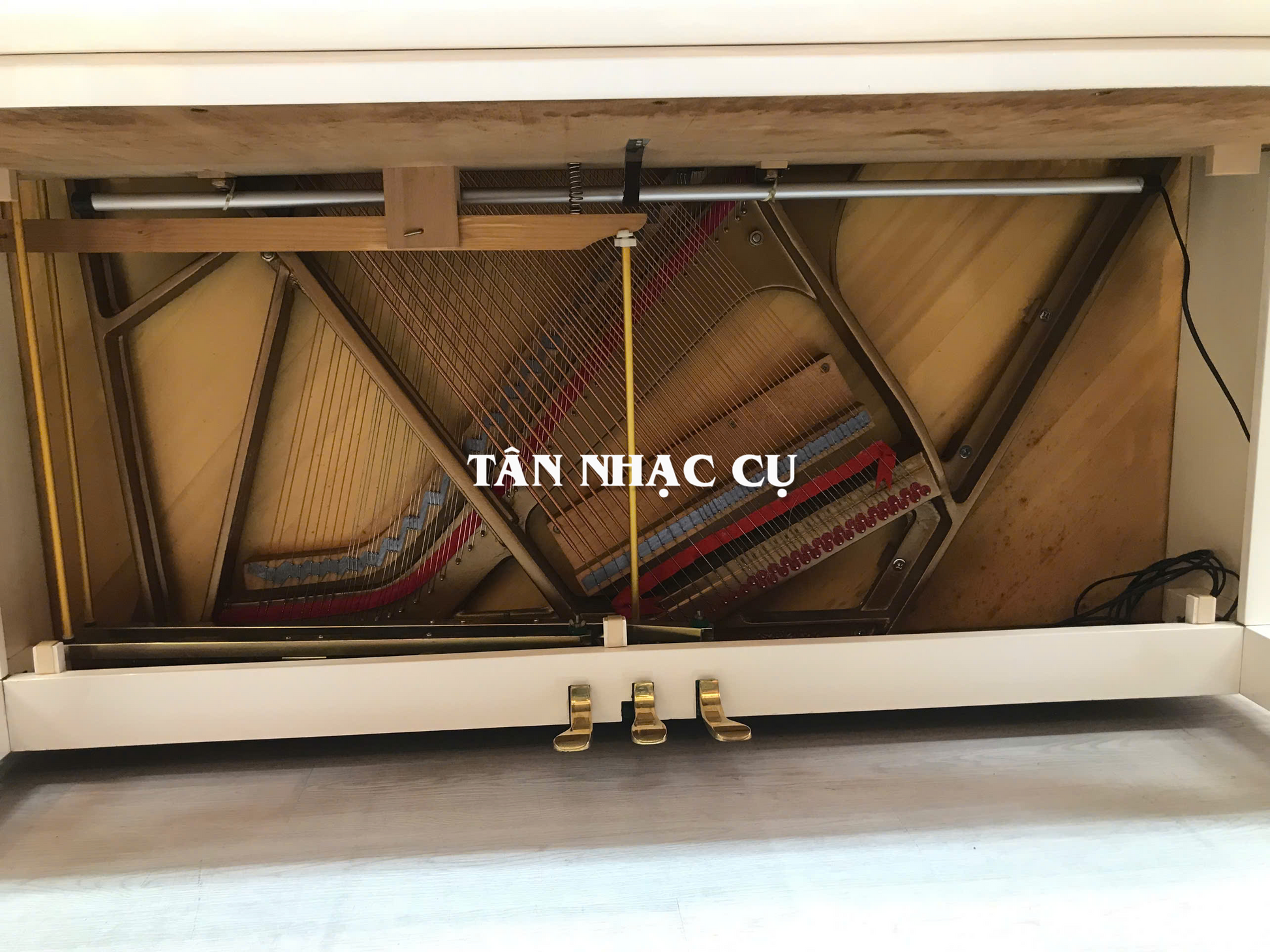 Đàn Piano Cơ Upright Essex EUP123E, Polish White