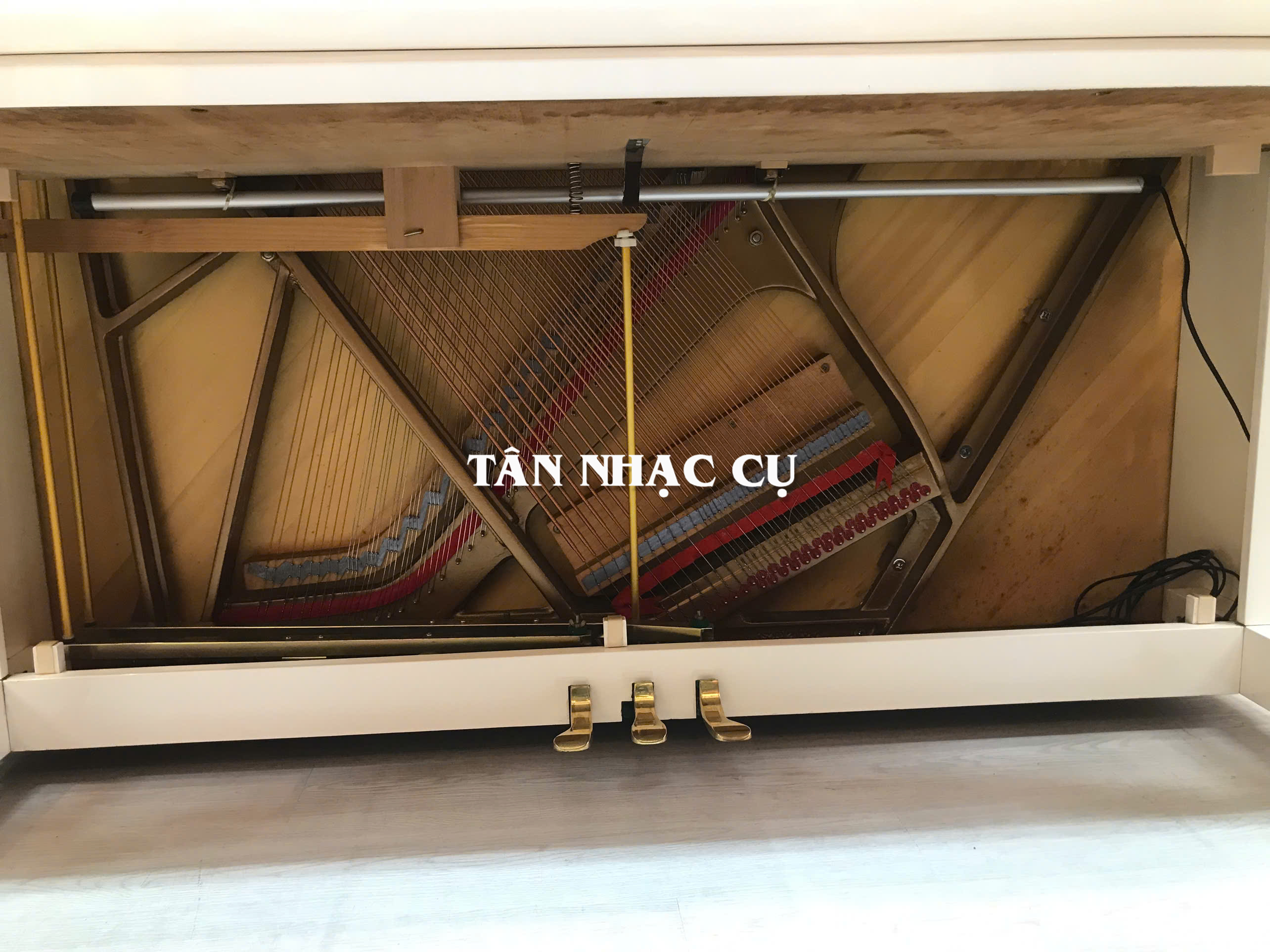 Đàn Piano Cơ Upright Essex EUP123E, Polish White