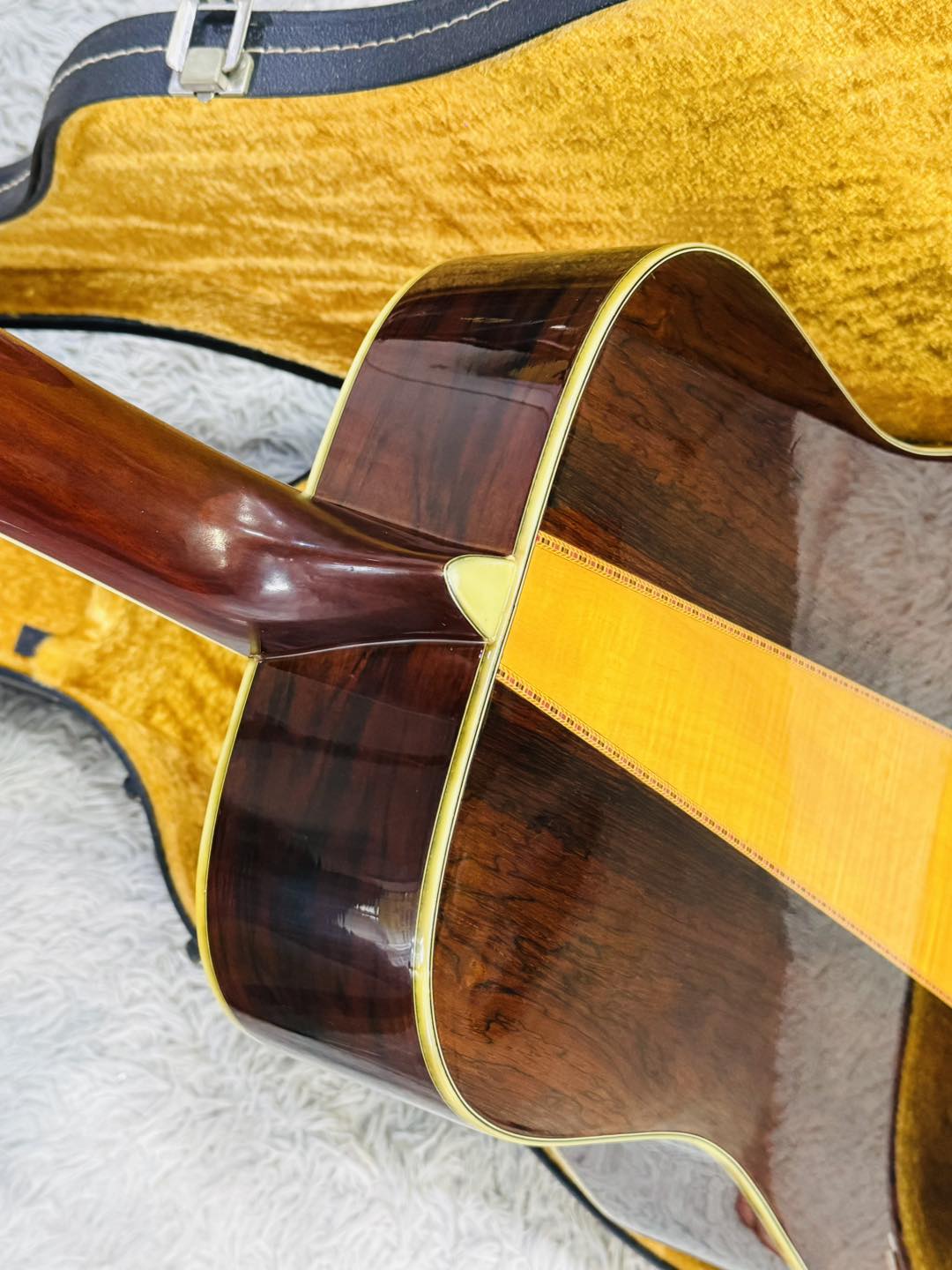 Đàn Guitar Acoustic Morris W60