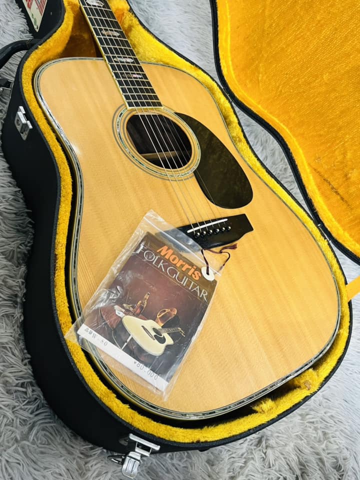 Đàn Guitar Acoustic Morris W80