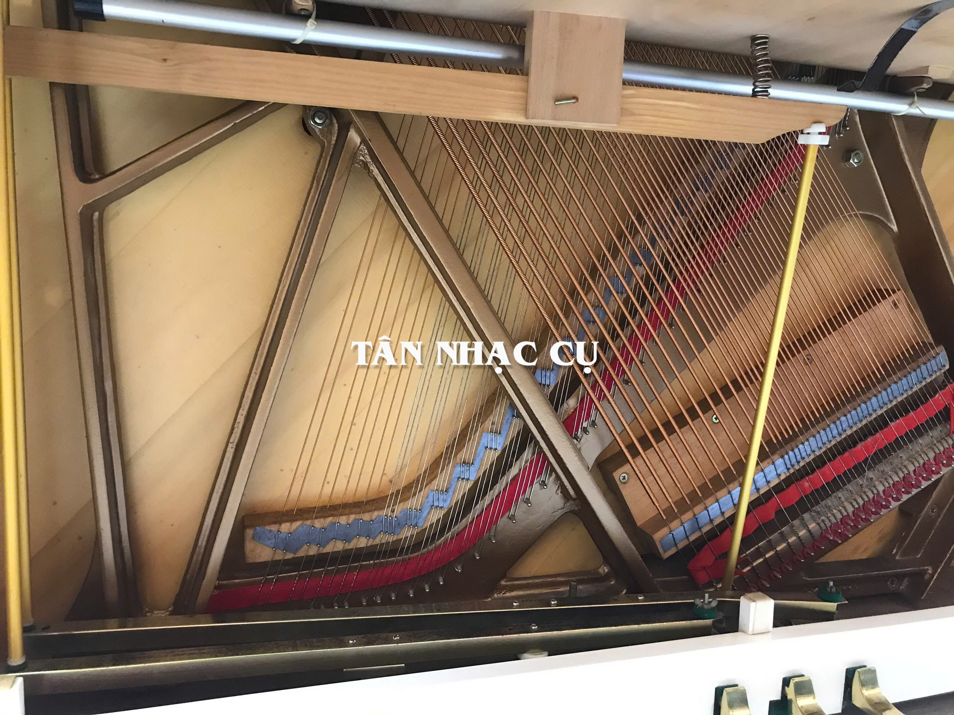 Đàn Piano Cơ Upright Essex EUP123E, Polish White