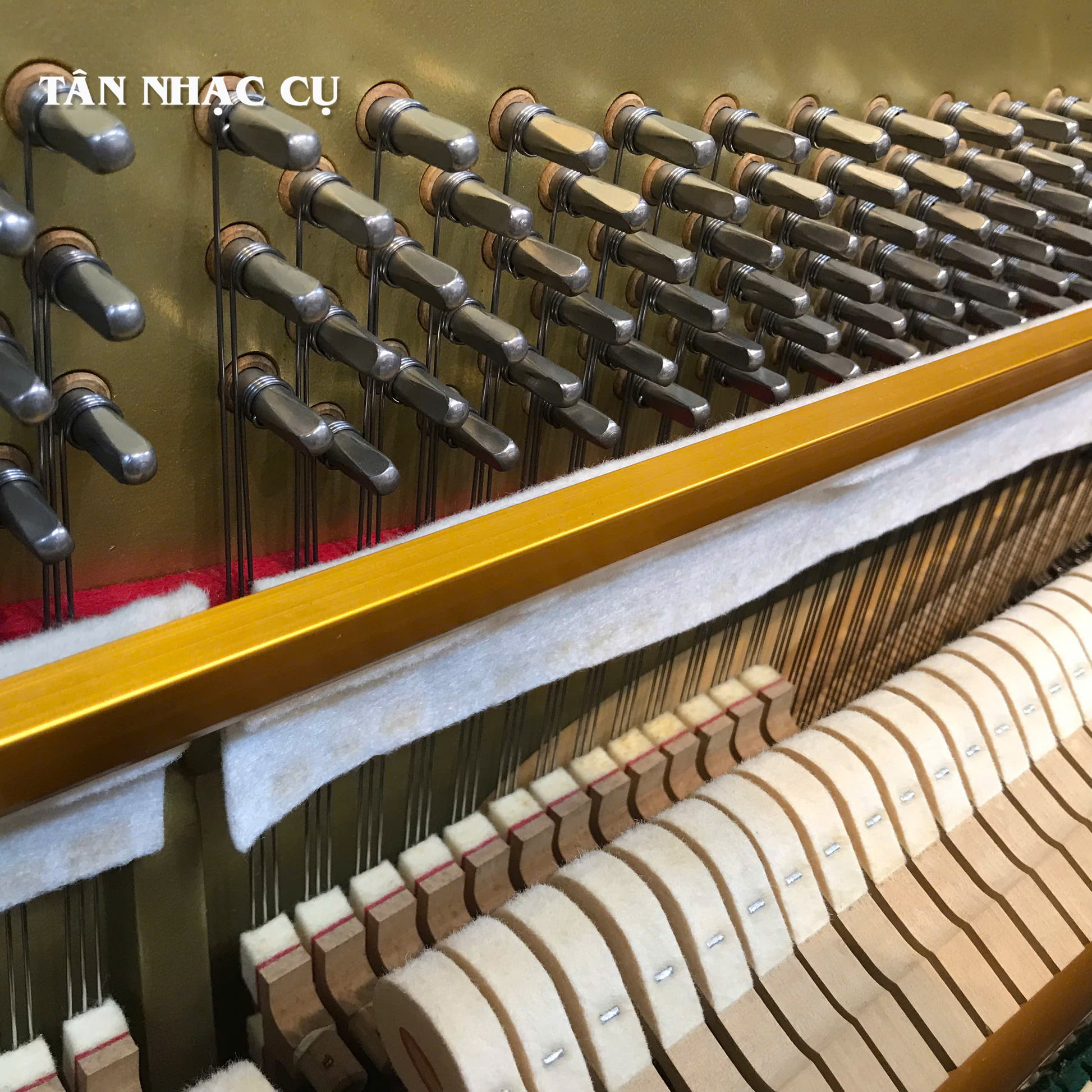 Đàn Piano Cơ Upright Apollo RU8