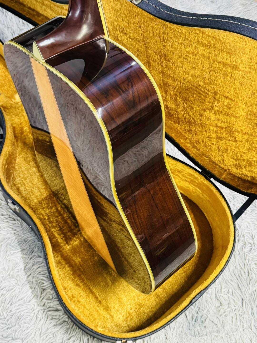 Đàn Guitar Acoustic Morris W60