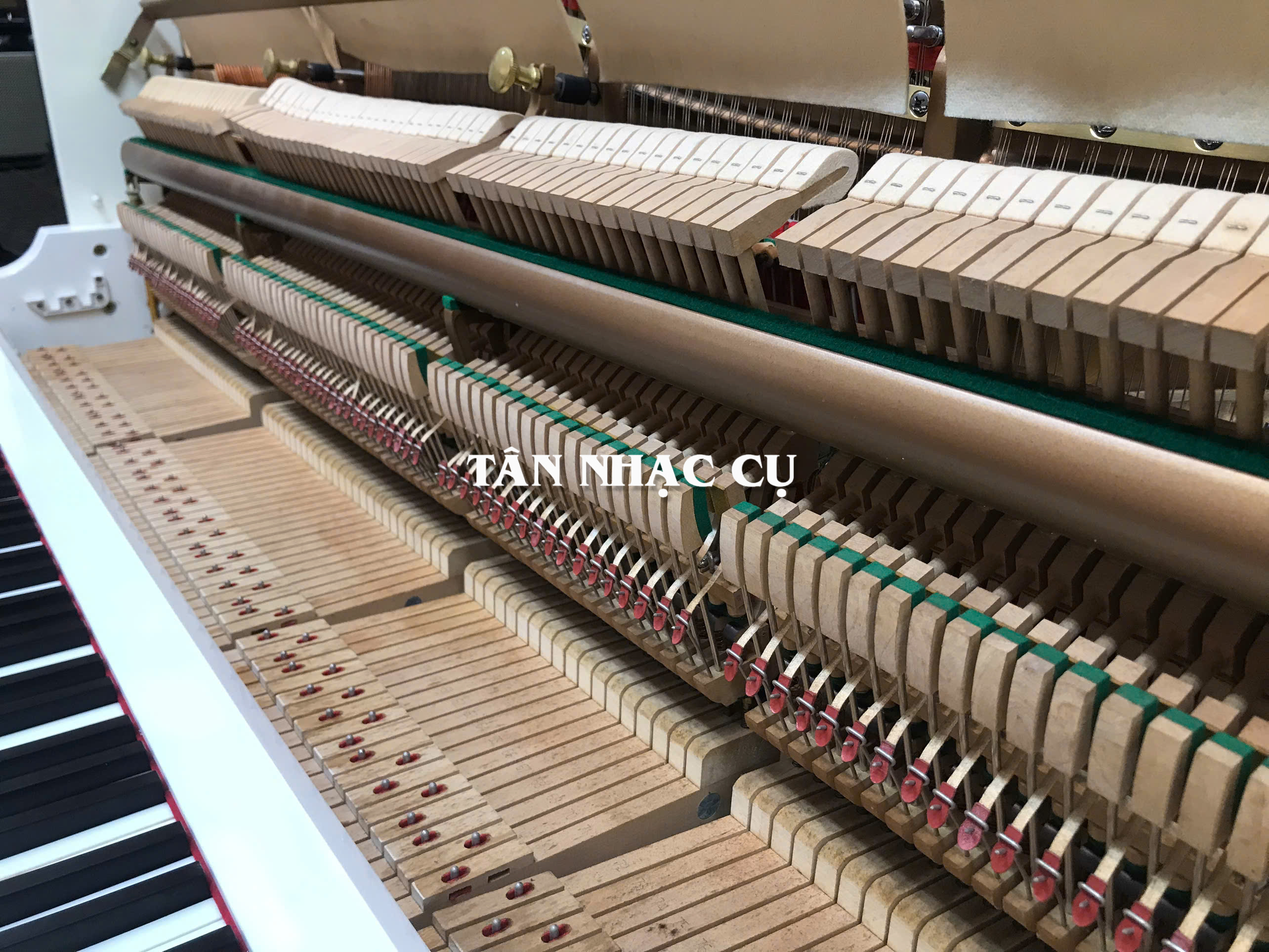 Đàn Piano Cơ Upright Essex EUP123E, Polish White