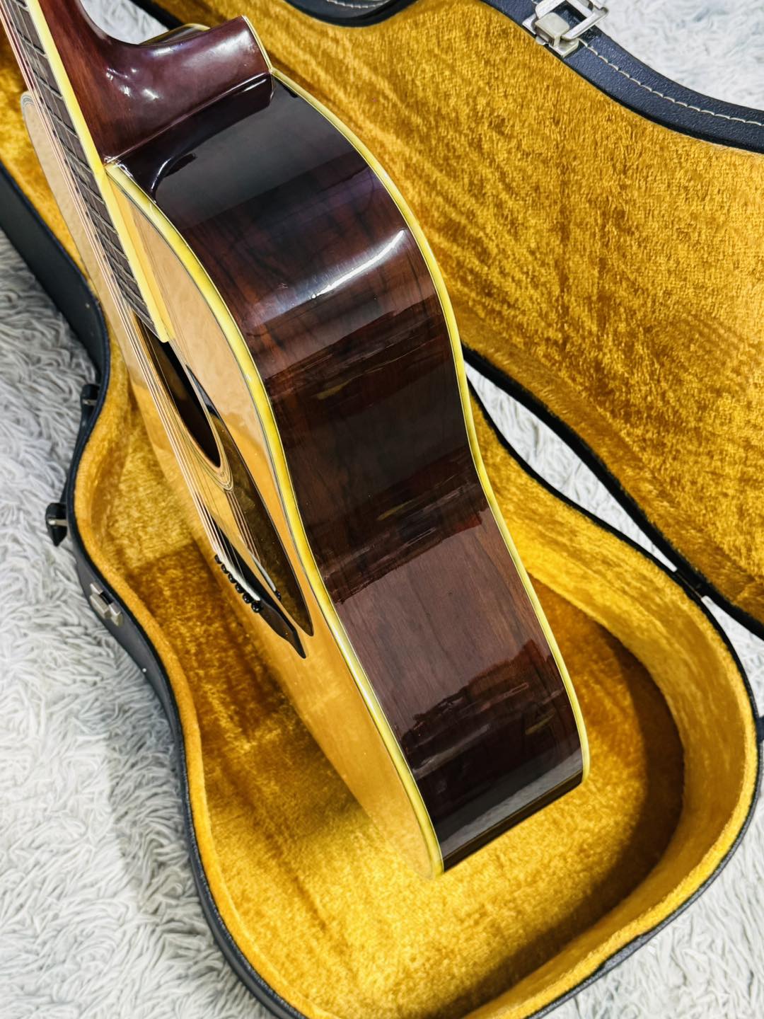 Đàn Guitar Acoustic Morris W60