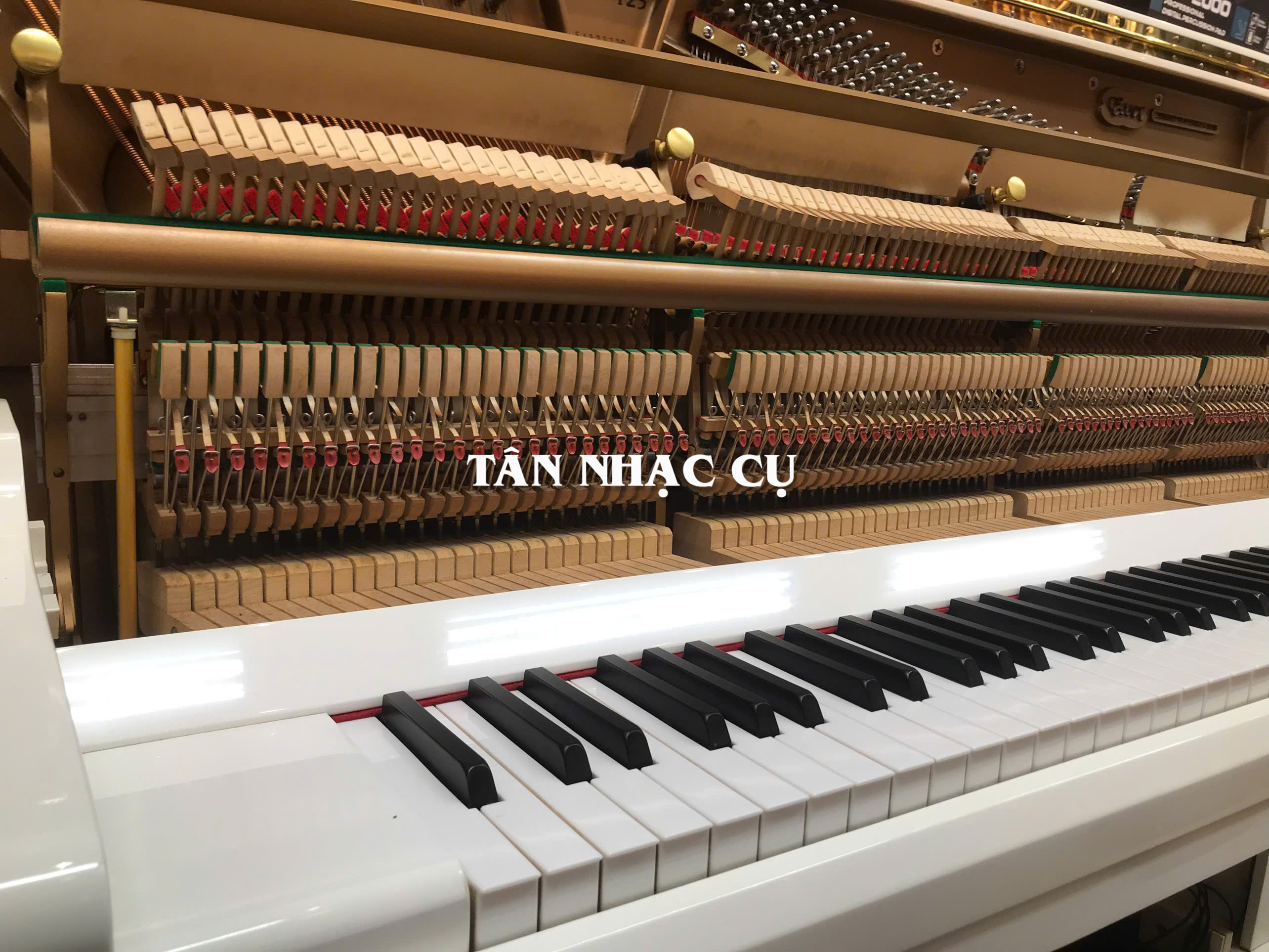 Đàn Piano Cơ Upright Essex EUP123E, Polish White