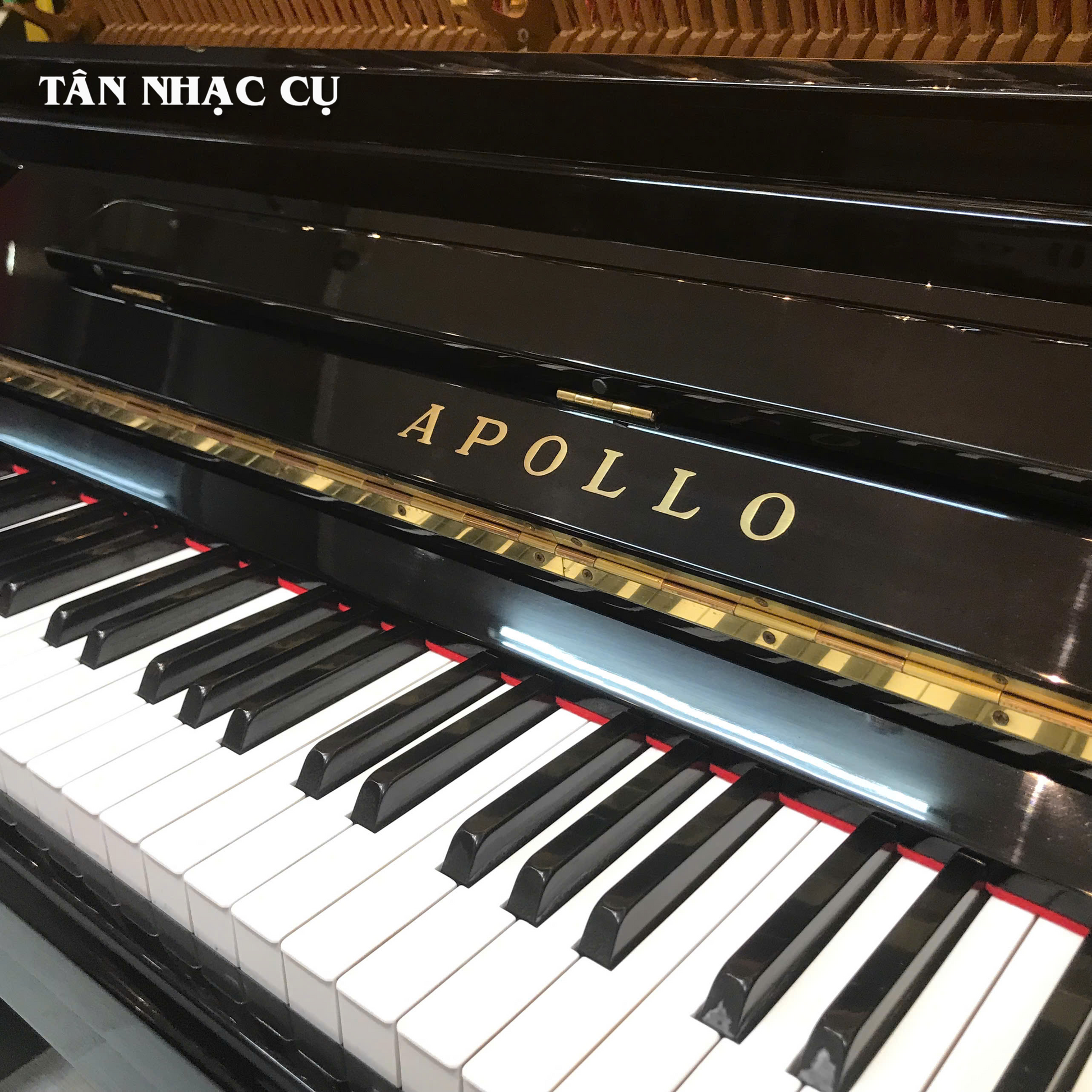 Đàn Piano Cơ Upright Apollo RU8