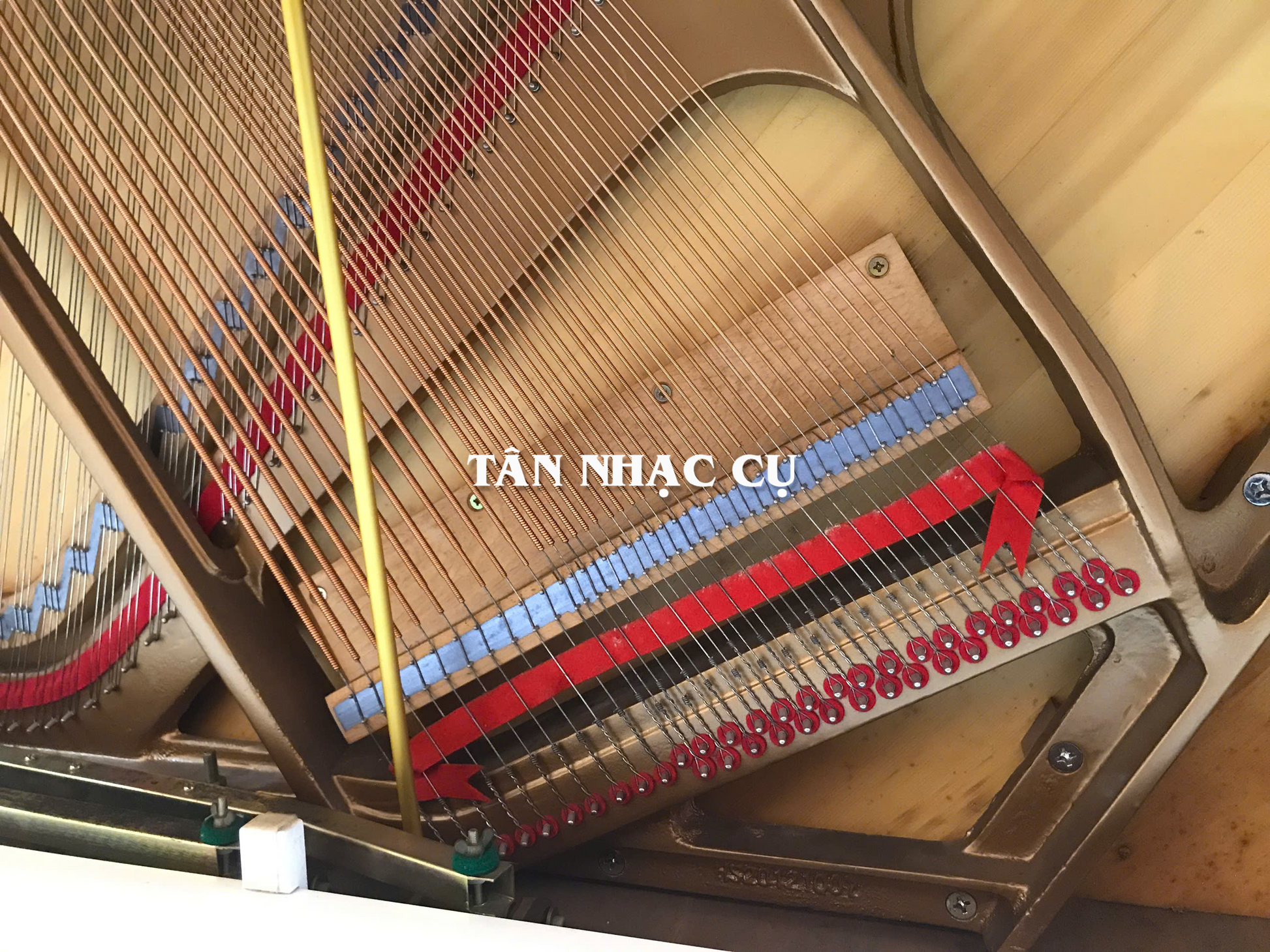 Đàn Piano Cơ Upright Essex EUP123E, Polish White