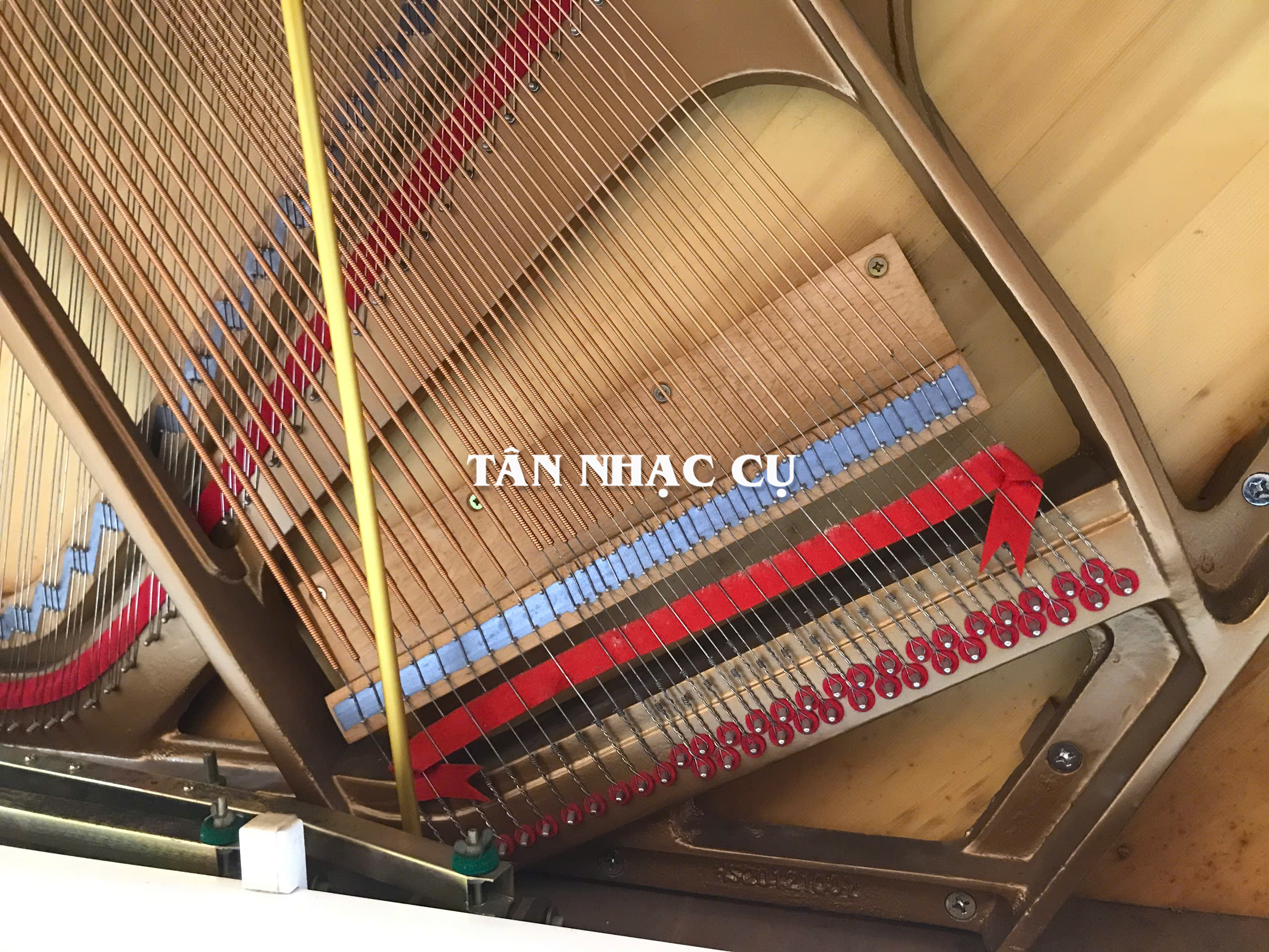 Đàn Piano Cơ Upright Essex EUP123E, Polish White