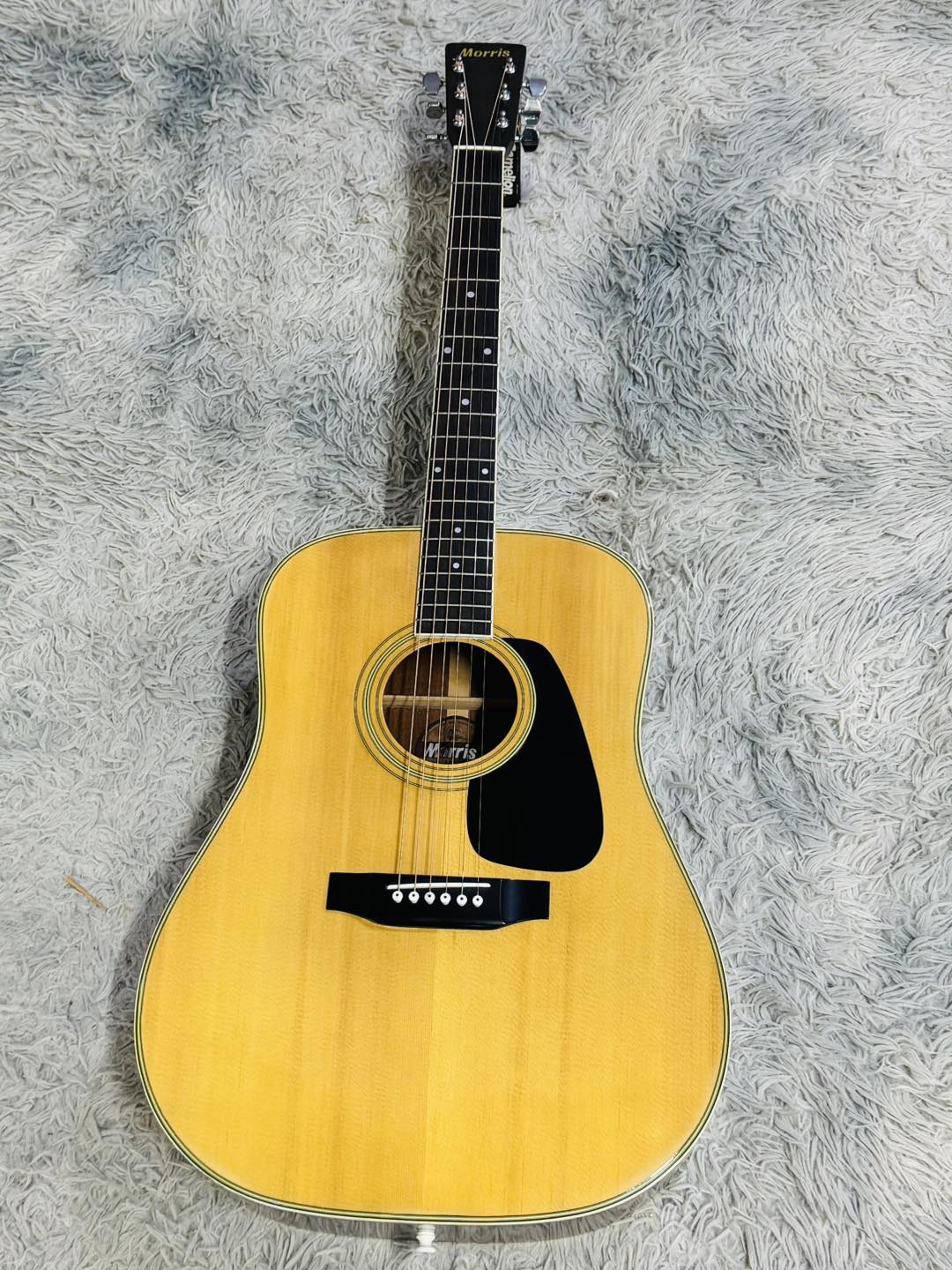 Đàn Guitar Acoustic Morris MD505