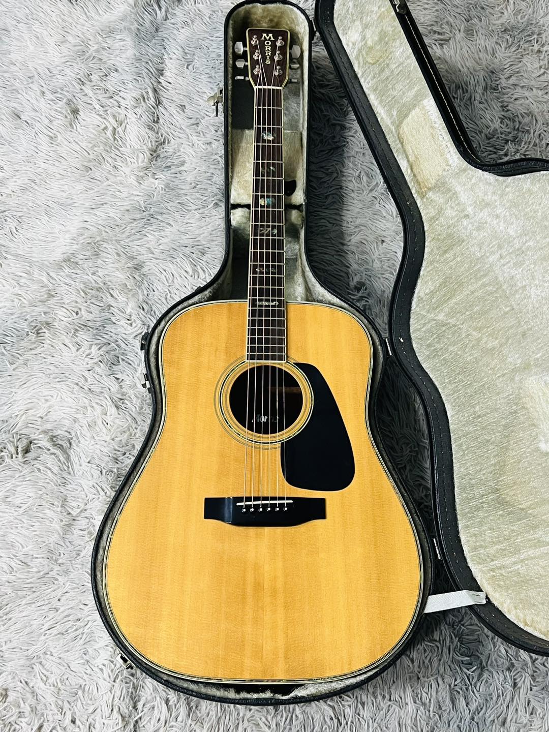 Đàn Guitar Acoustic Morris MD525