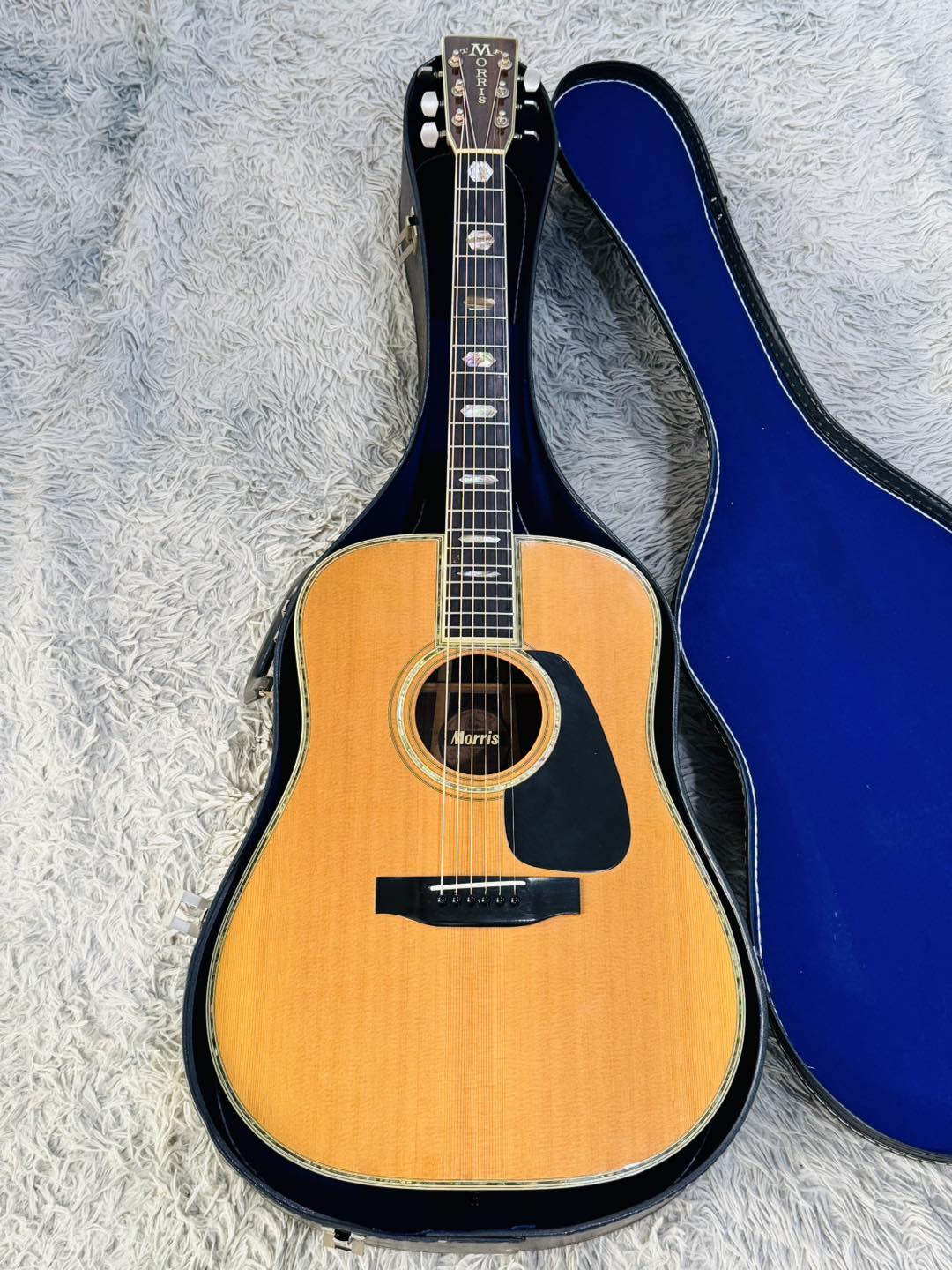 Đàn Guitar Acoustic Morris TF810