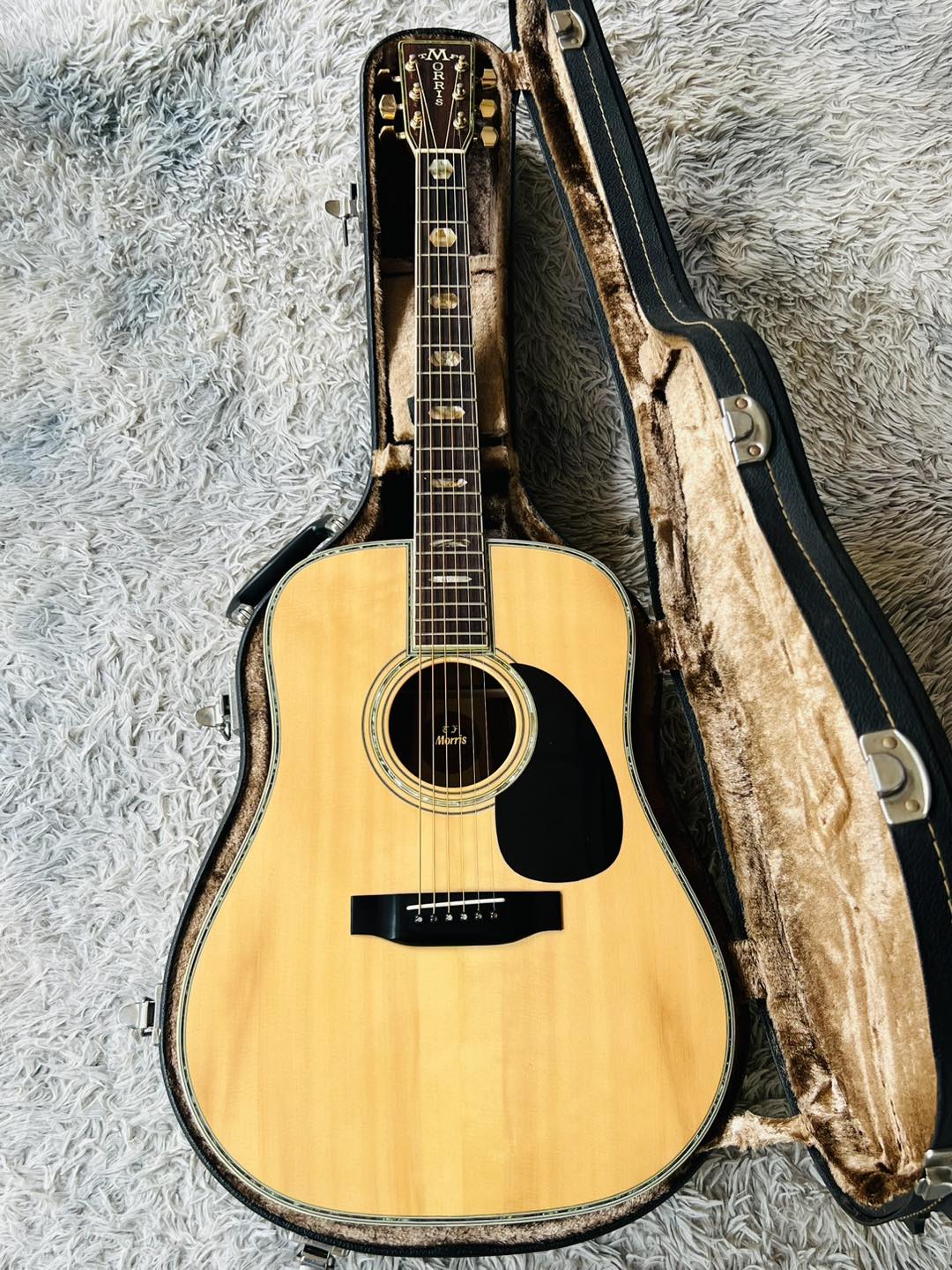 Đàn Guitar Acoustic Morris W100