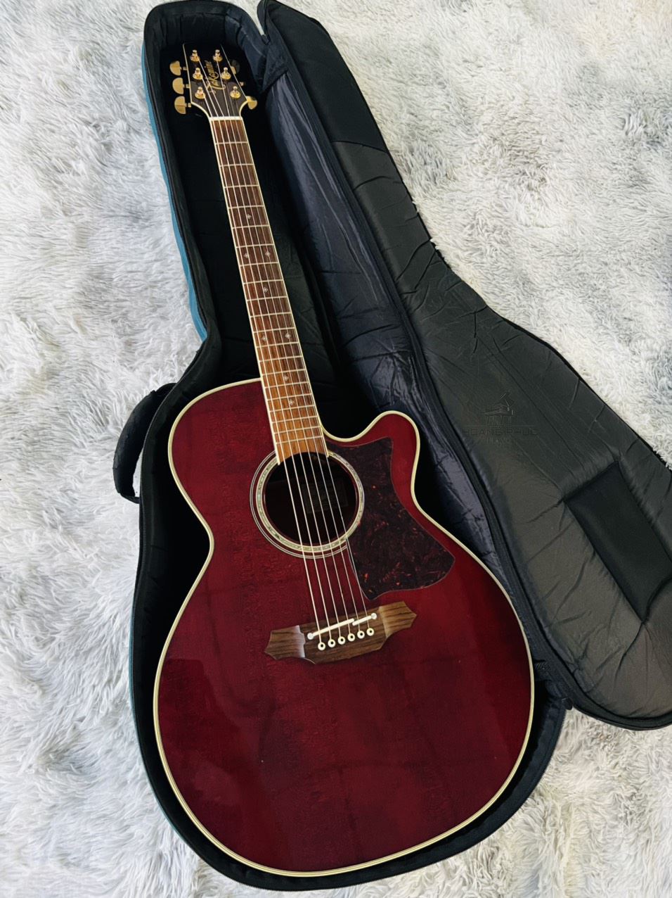 Đàn Guitar Acoustic Takamine DMP512 WR