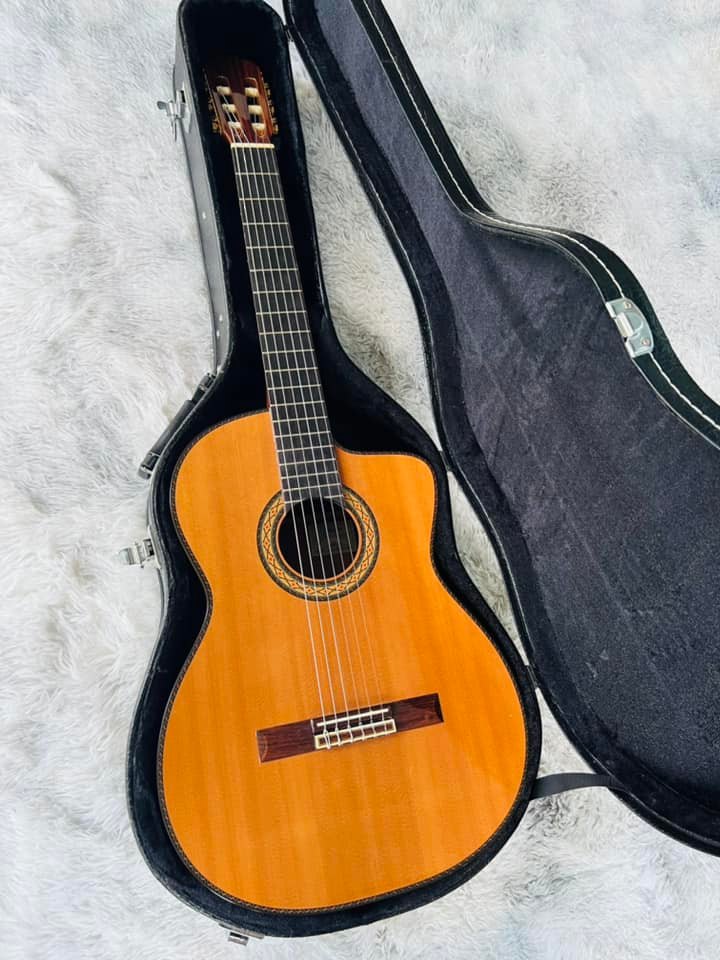 Đàn Guitar Classic Takamine DMP316