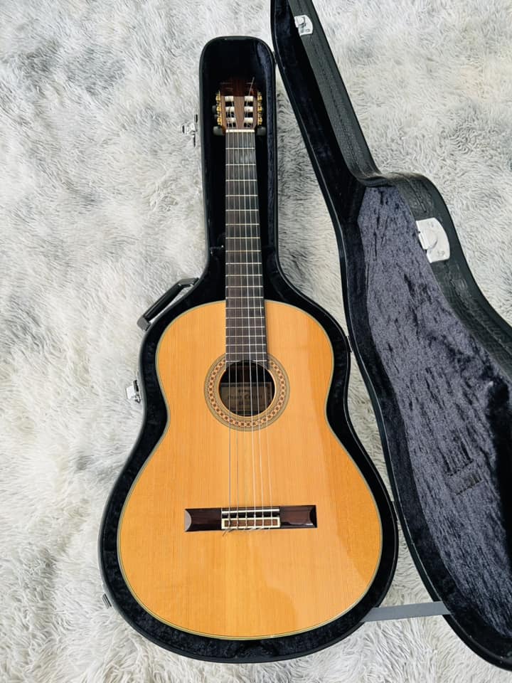 Đàn Guitar Classic Yamaha GC31C