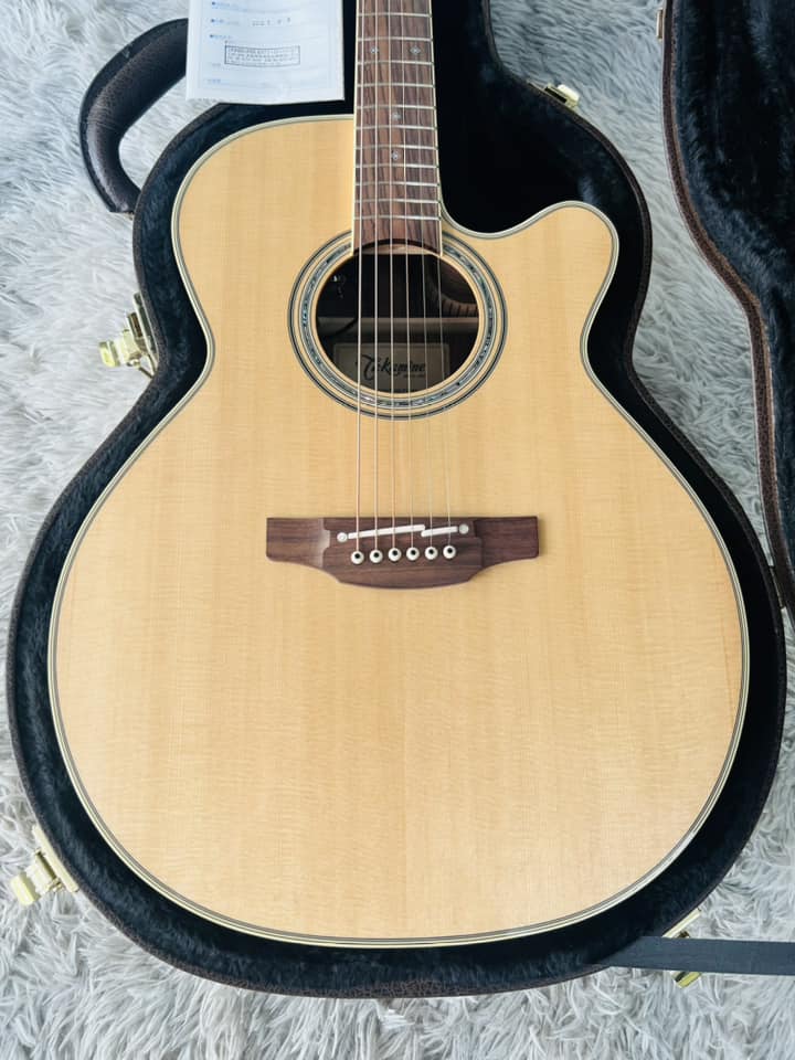 Đàn Guitar Acoustic Takamine 500 CUSTOM