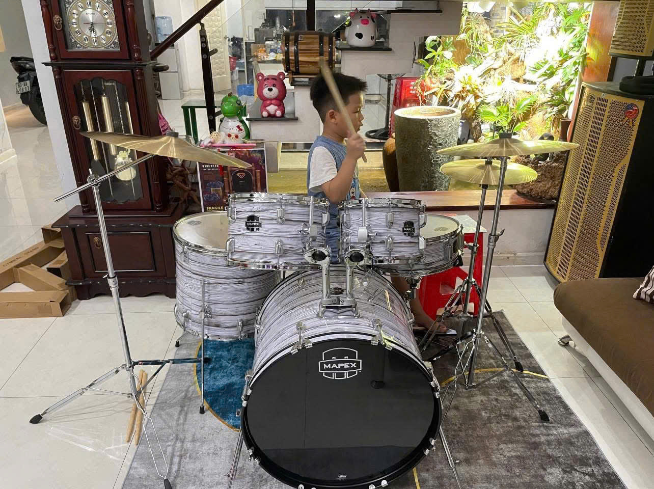 Trống Cơ Mapex Comet CM5295FTCDK-SC