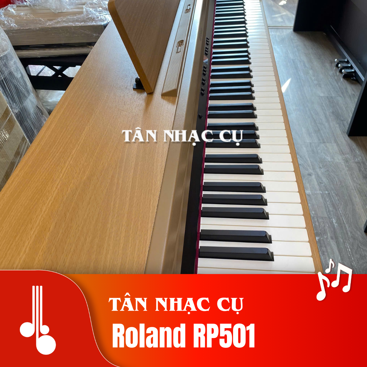 Roland RP501