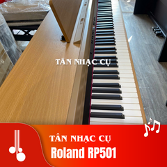 Roland RP501