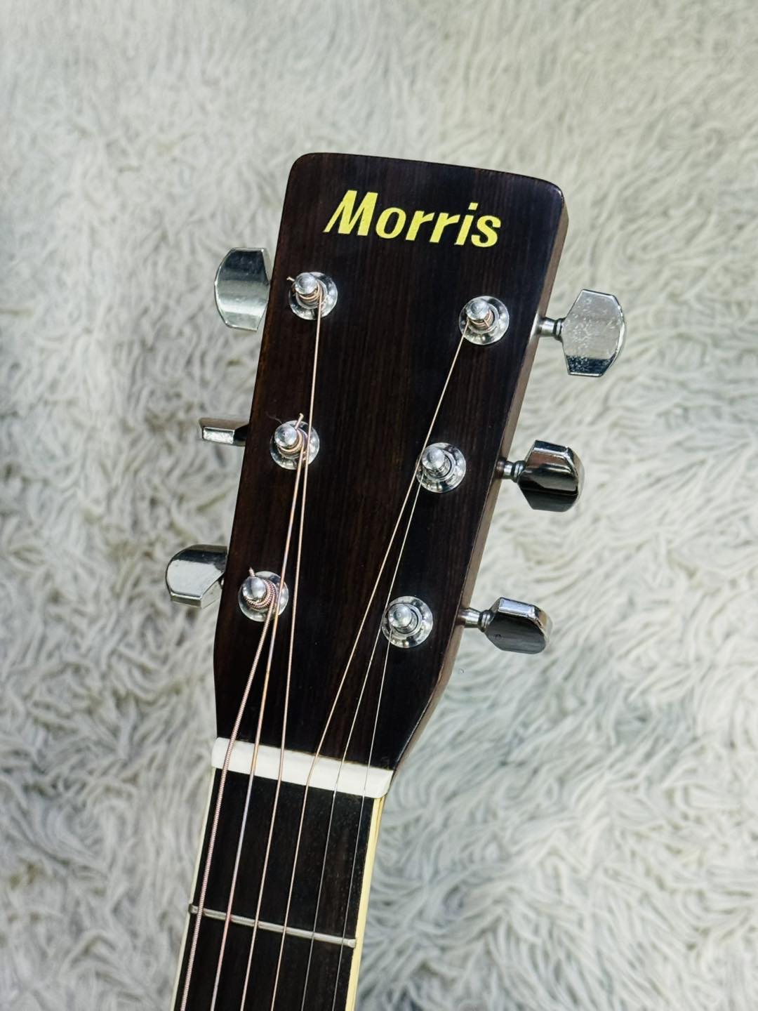 Đàn Guitar Acoustic Morris MD505